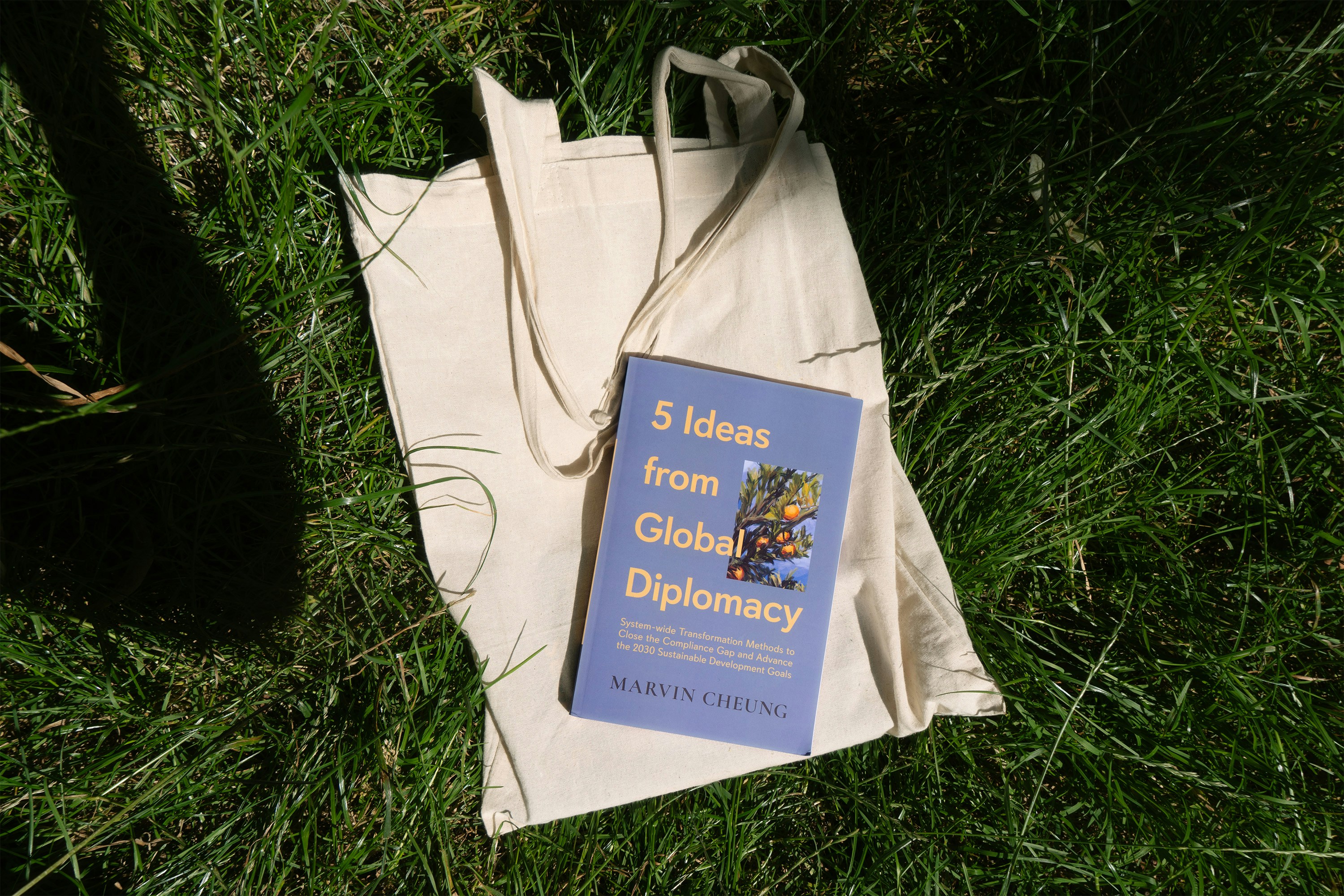 A book sitting on top of a bag in the grass