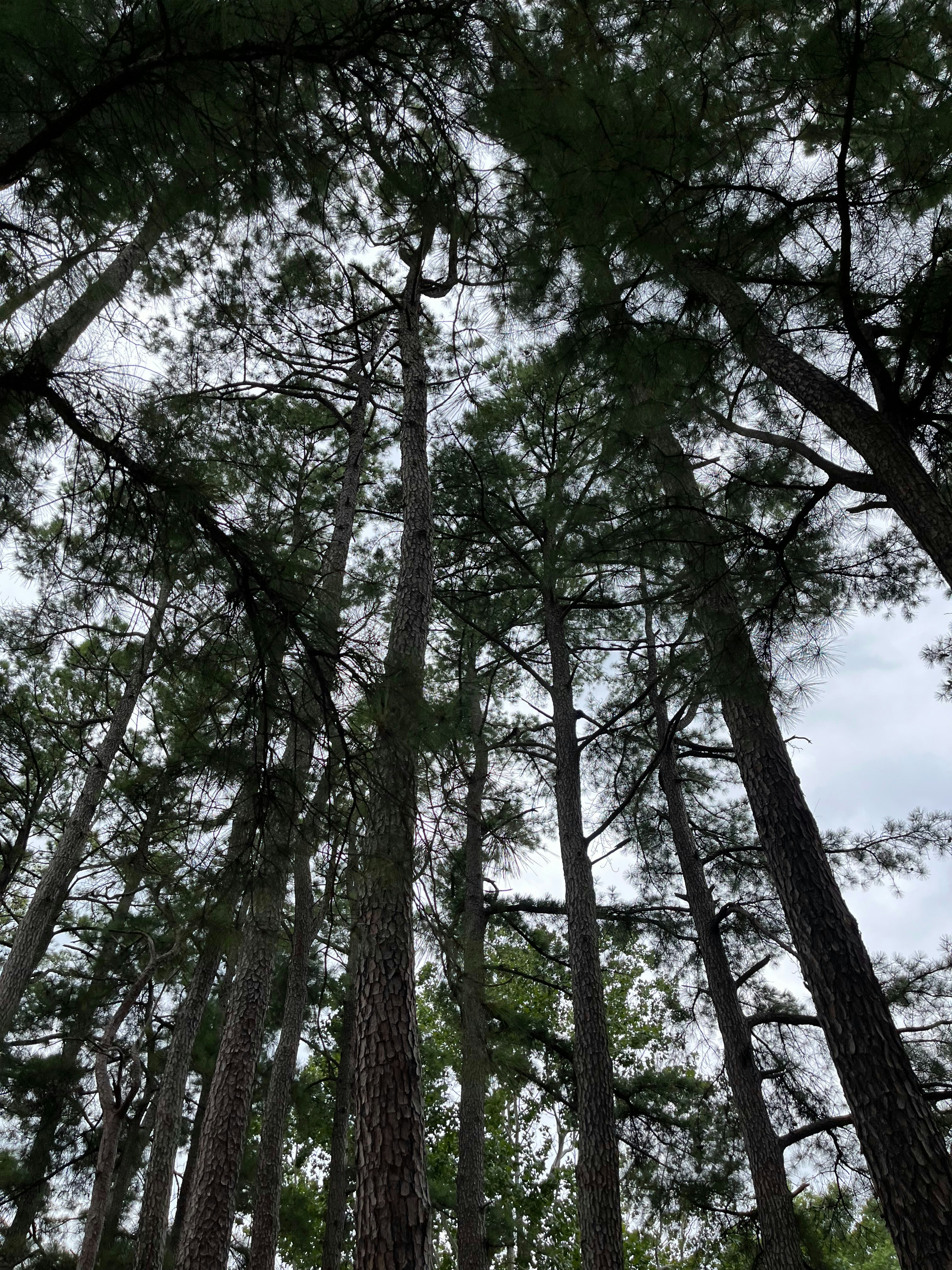 Photo by pinkflamingo398