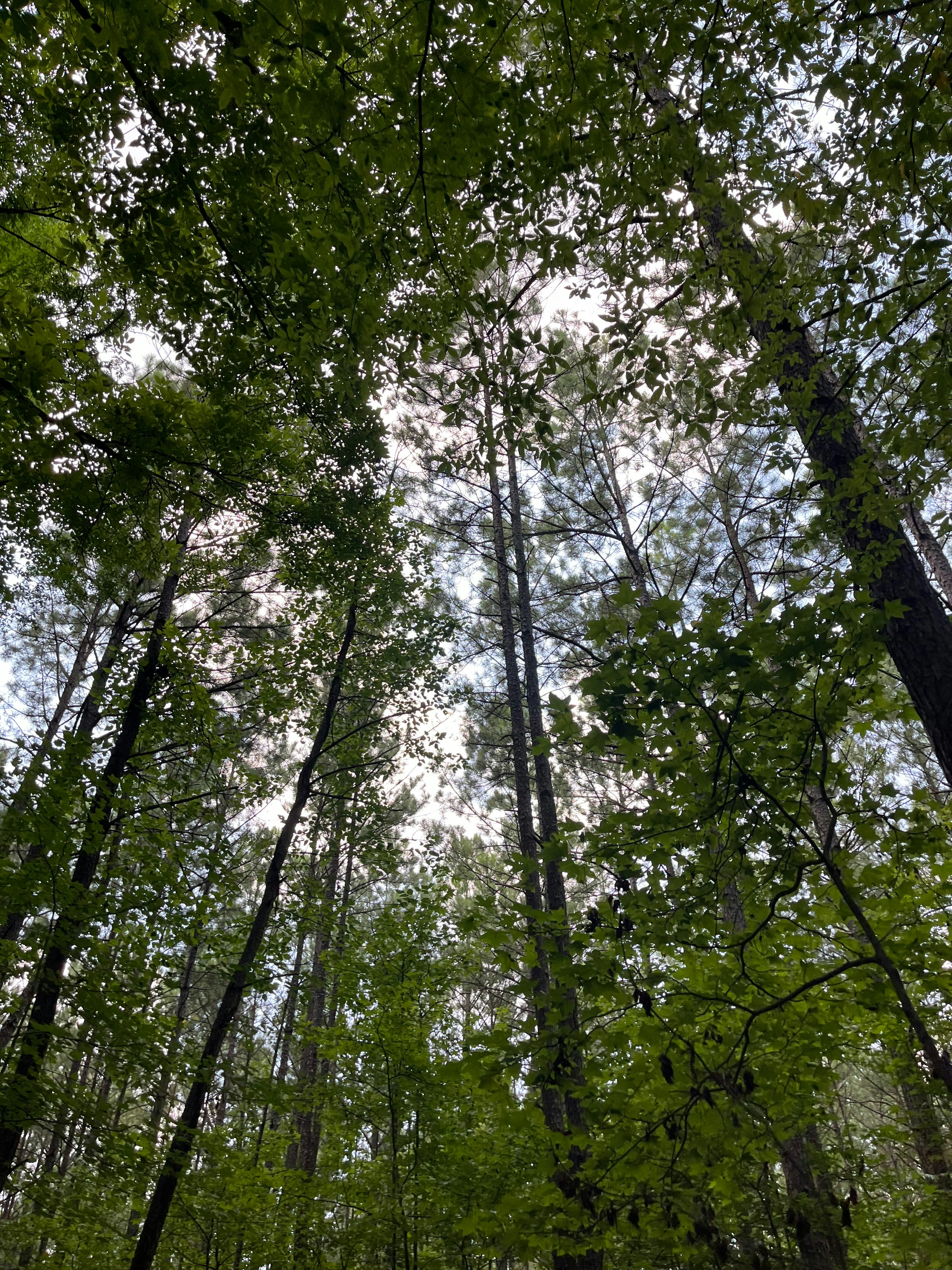 Photo by pinkflamingo398