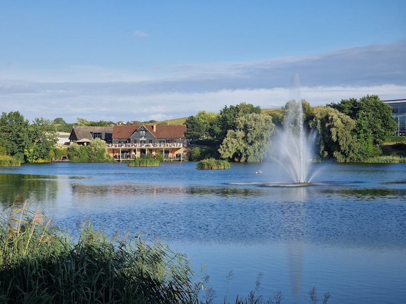 SpeedQuizzing at Goose