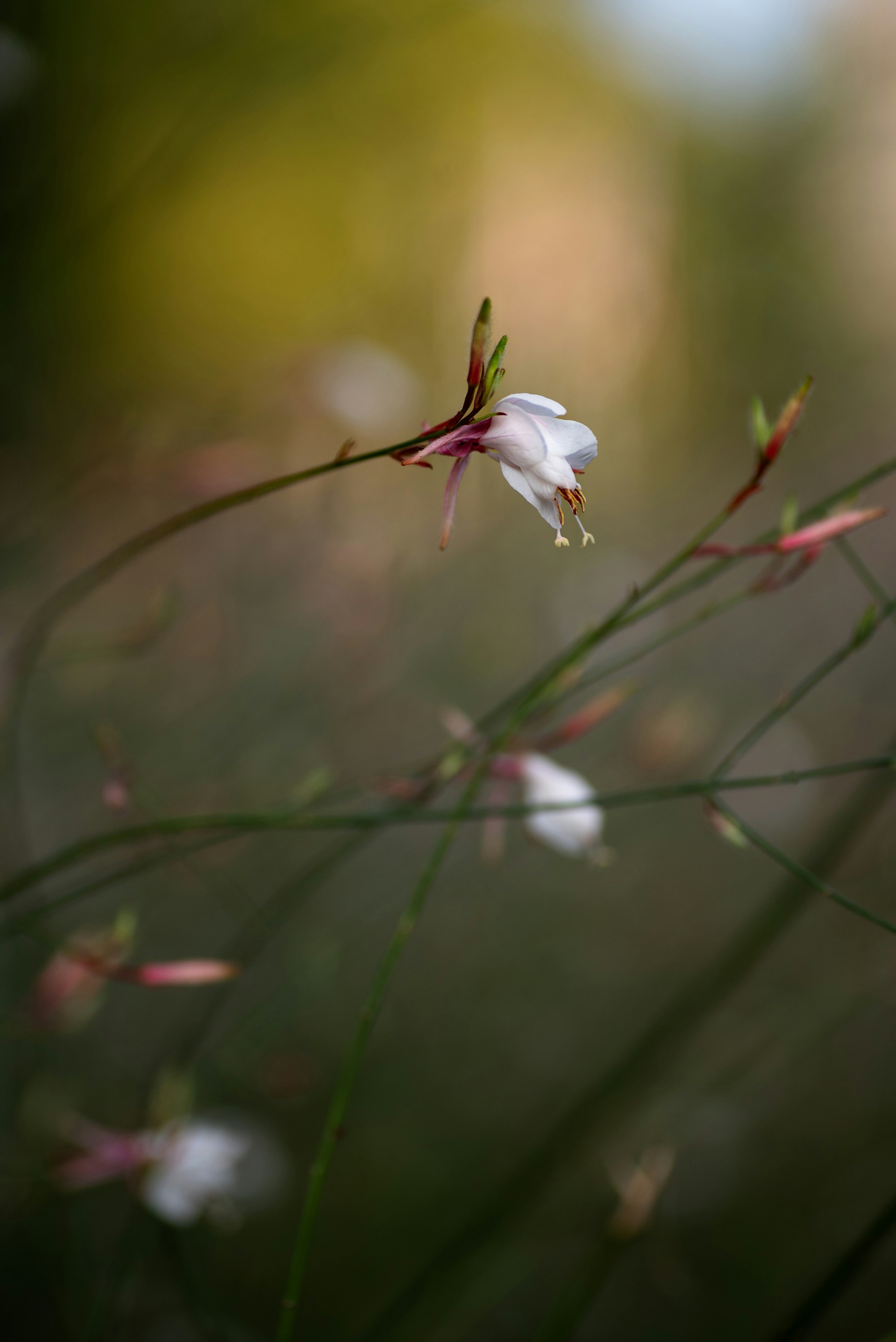 Photo by renatakneedham