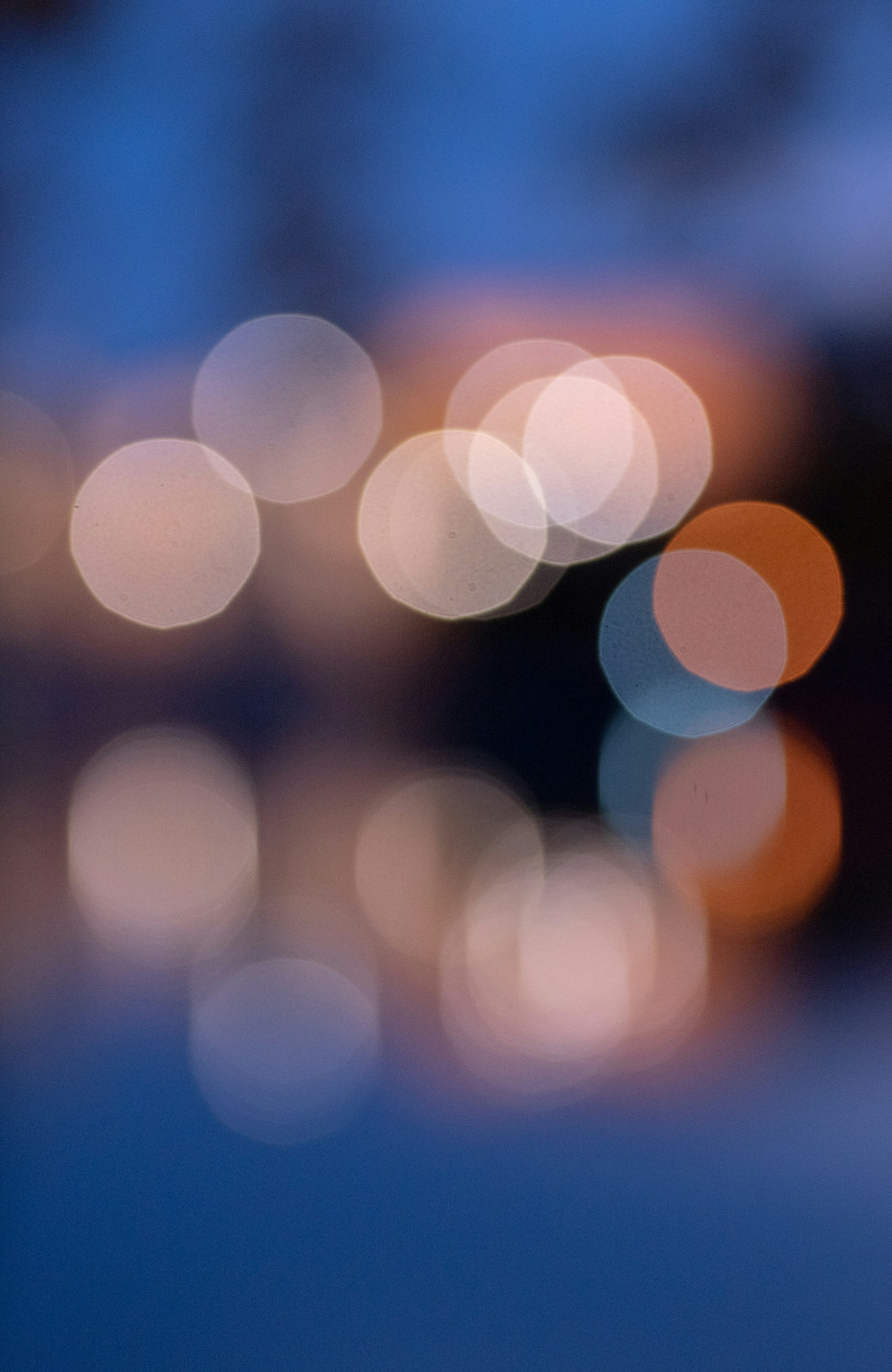 Photo by renatakneedham