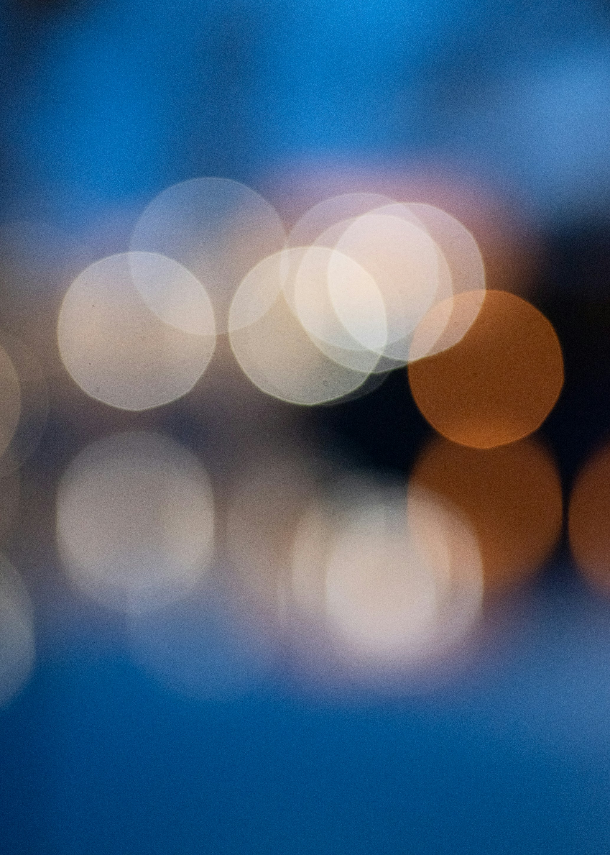 Photo by renatakneedham