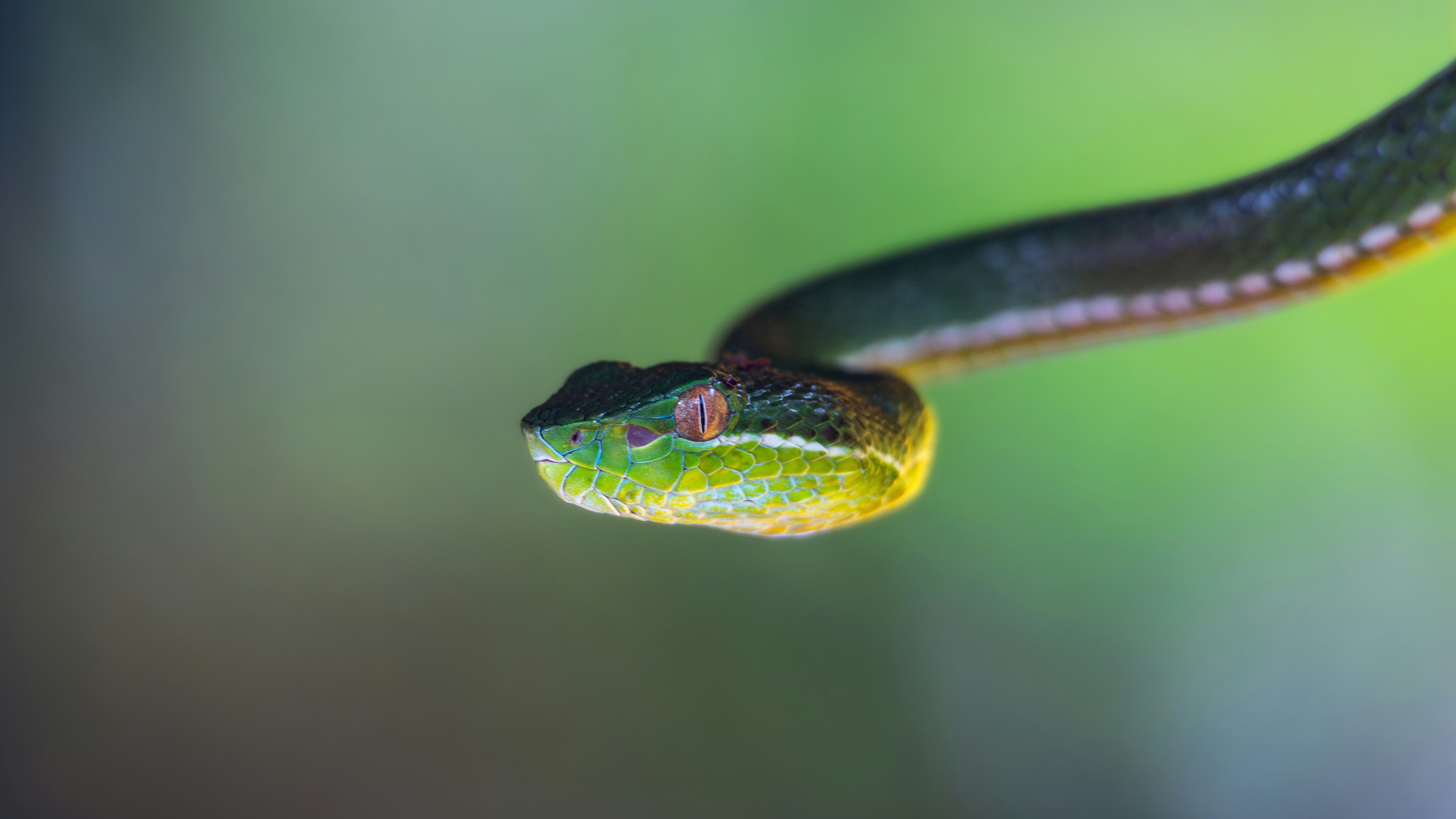 Photo by marekpiwnicki