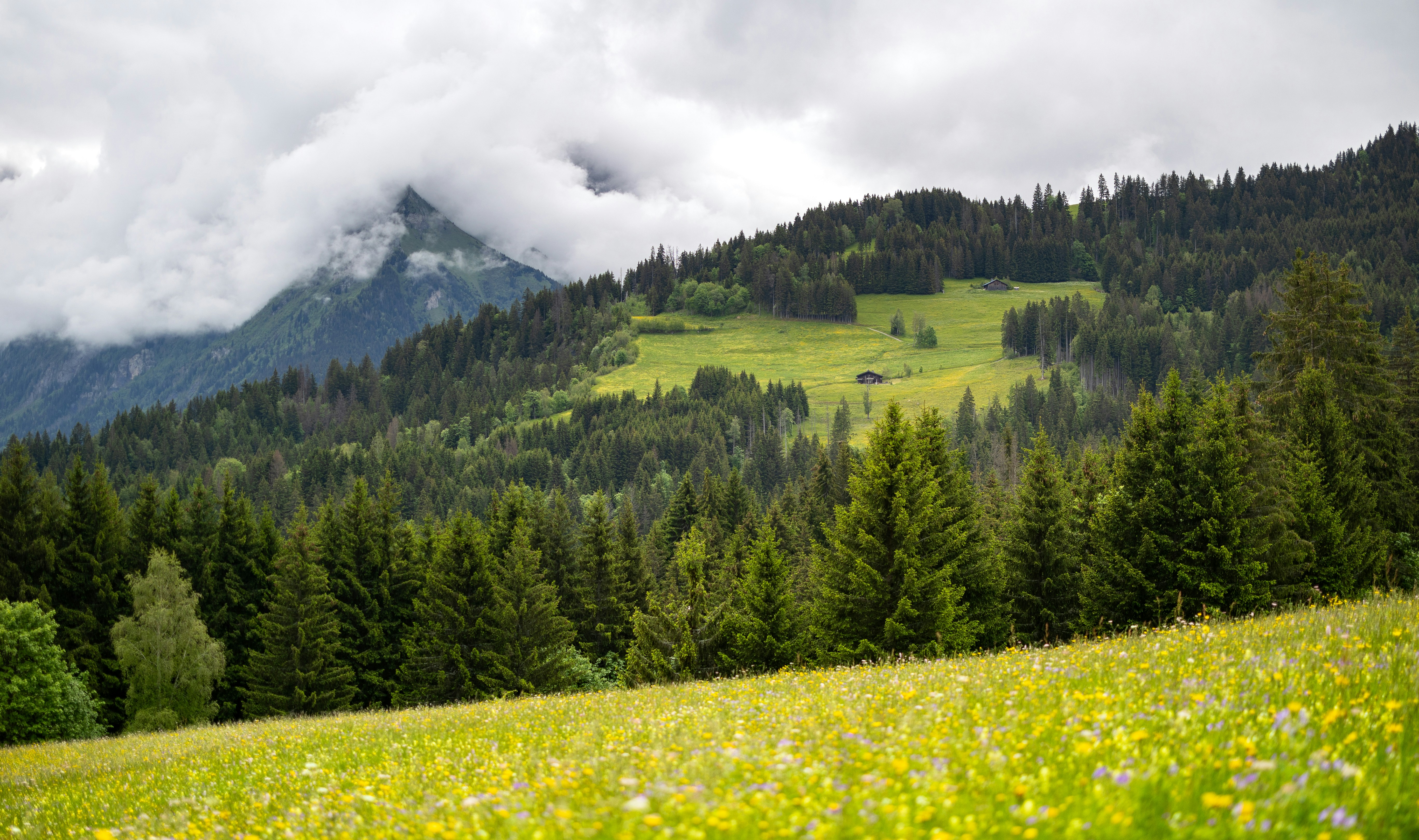 Photo by marekpiwnicki