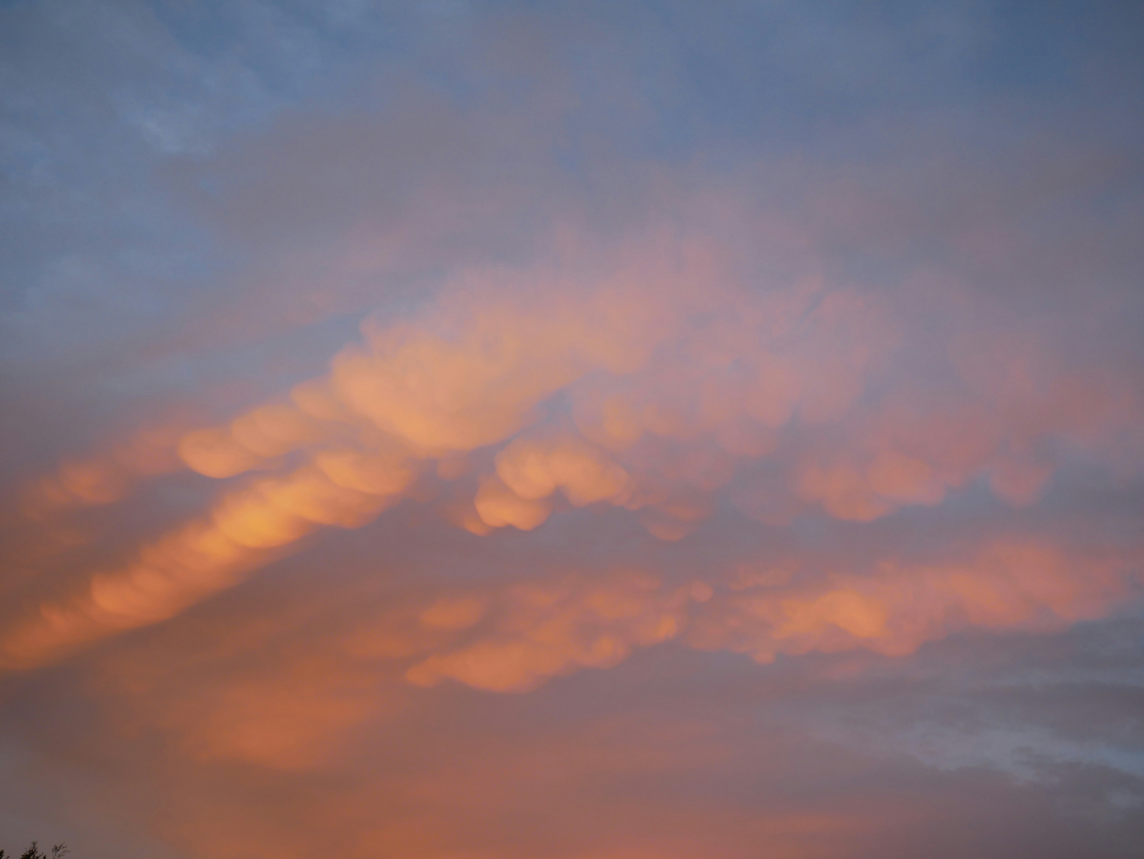 Photo by johanse_photos