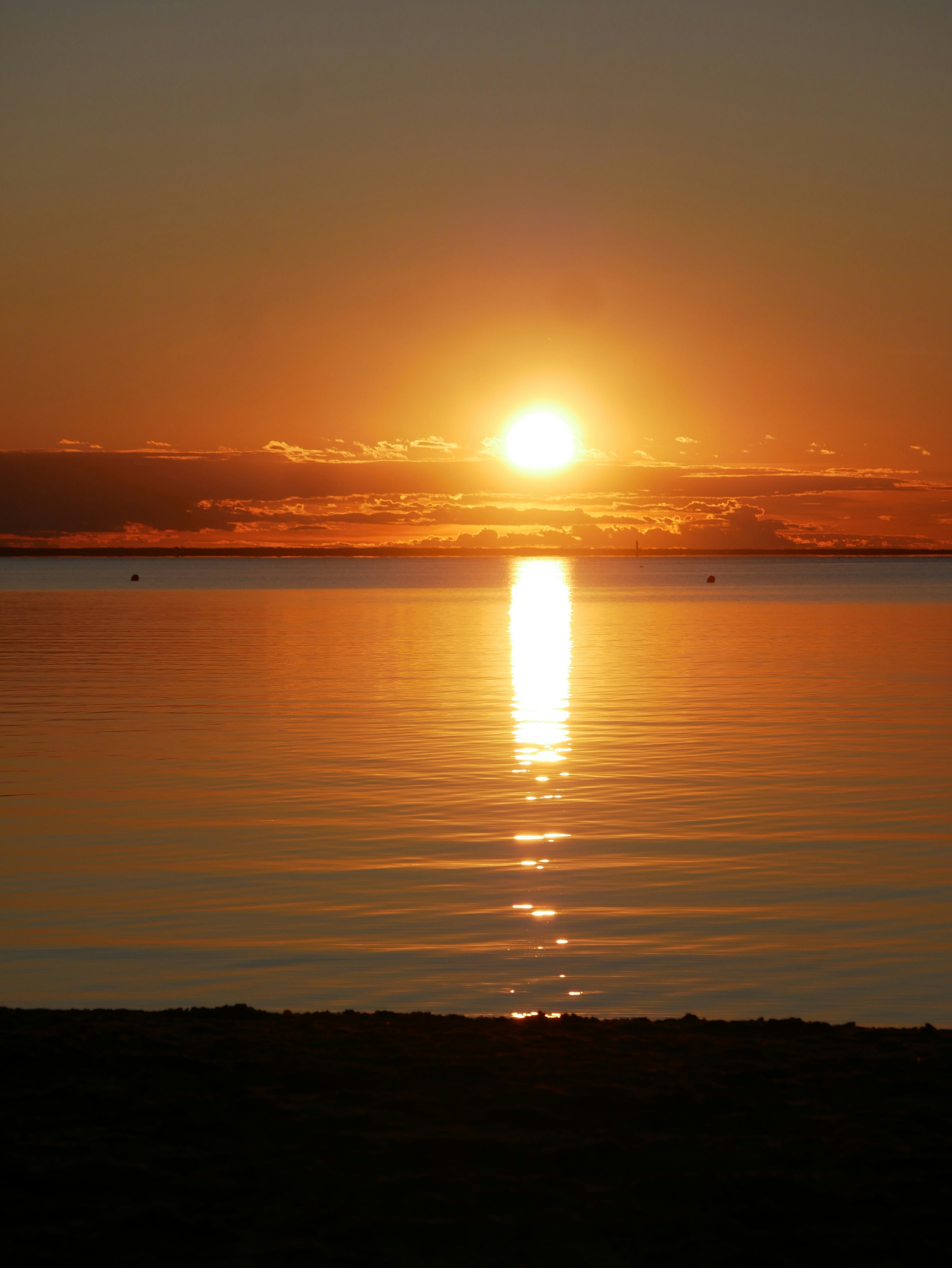 Photo by johanse_photos