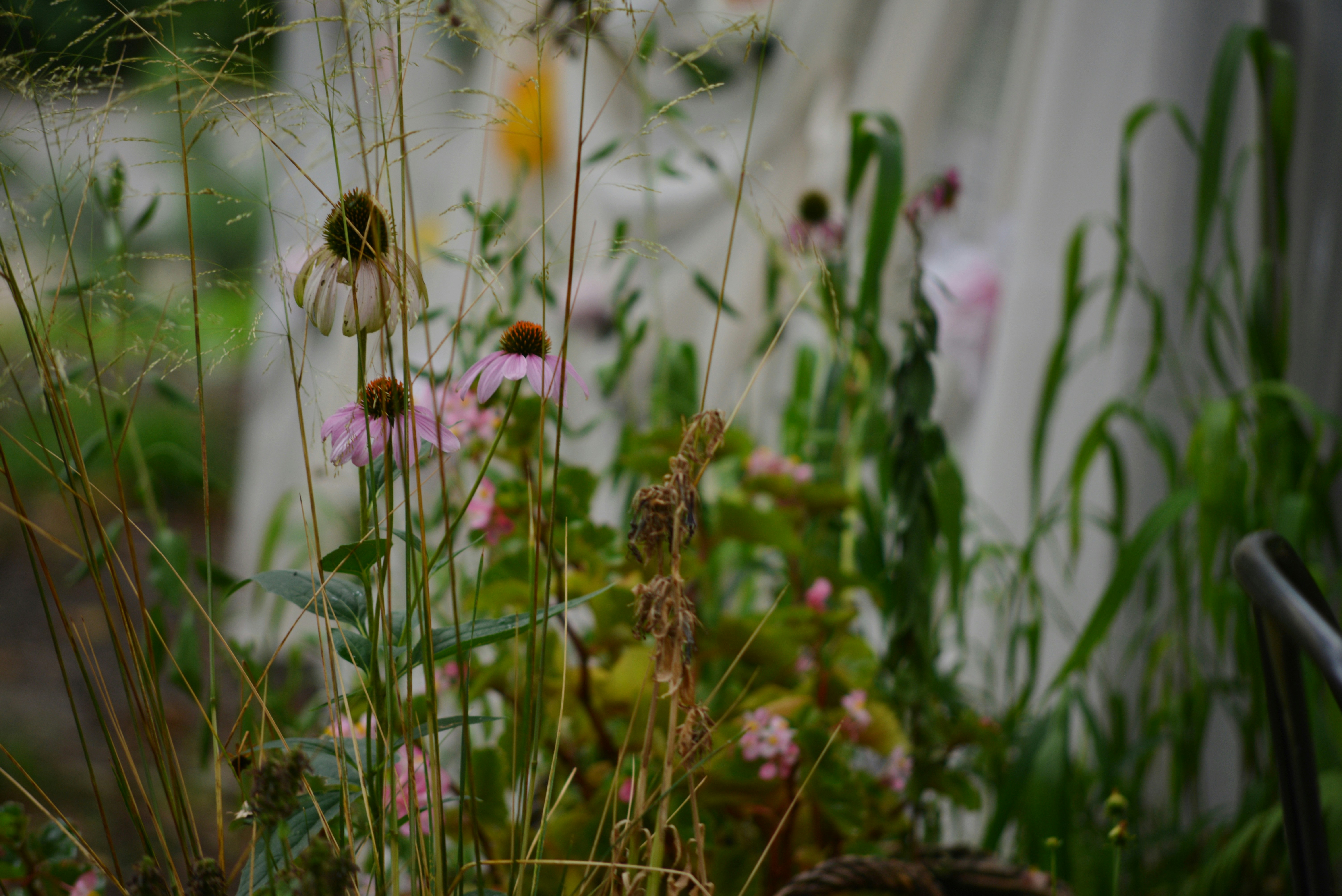 Photo by cherstve_pechivo