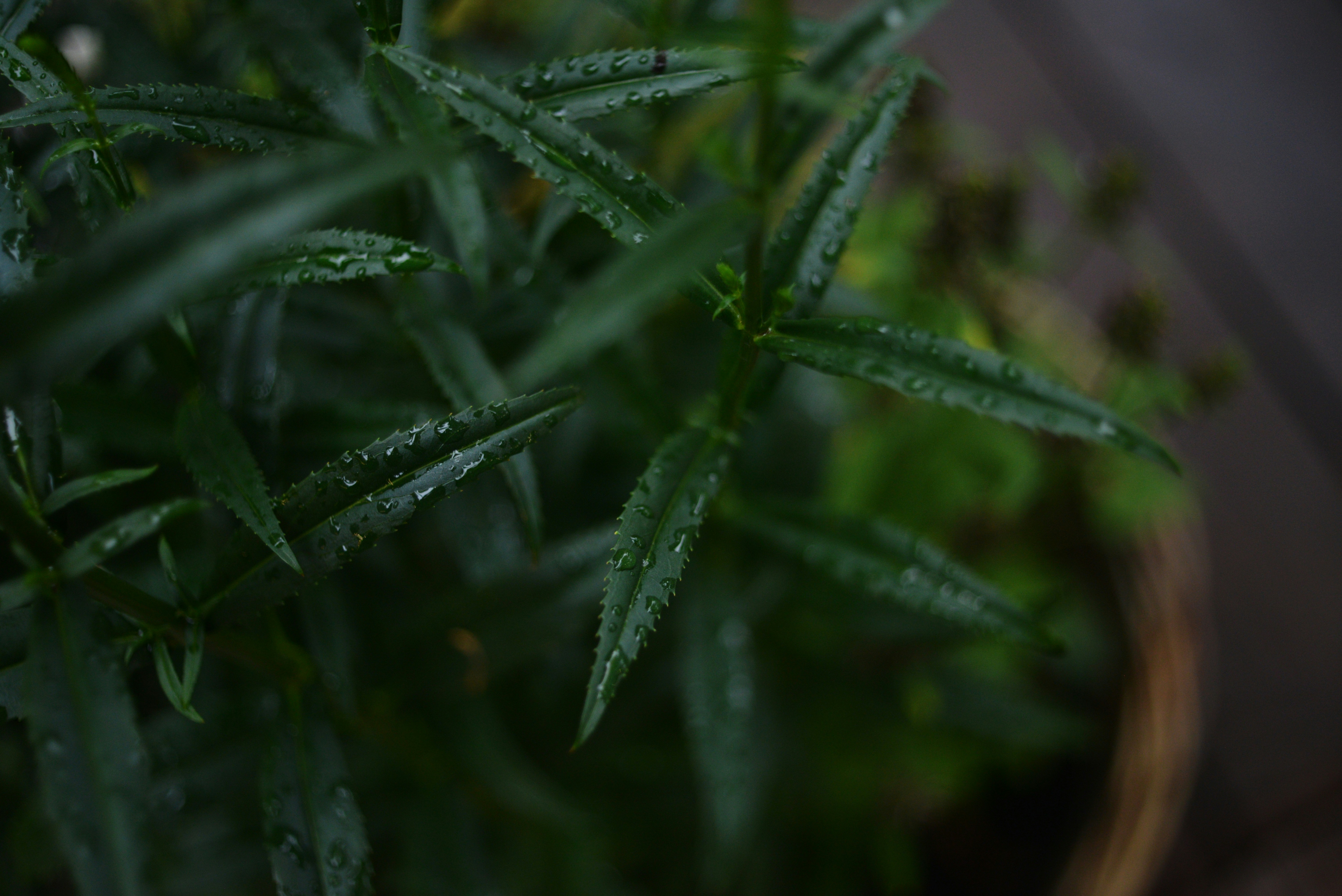 Photo by cherstve_pechivo