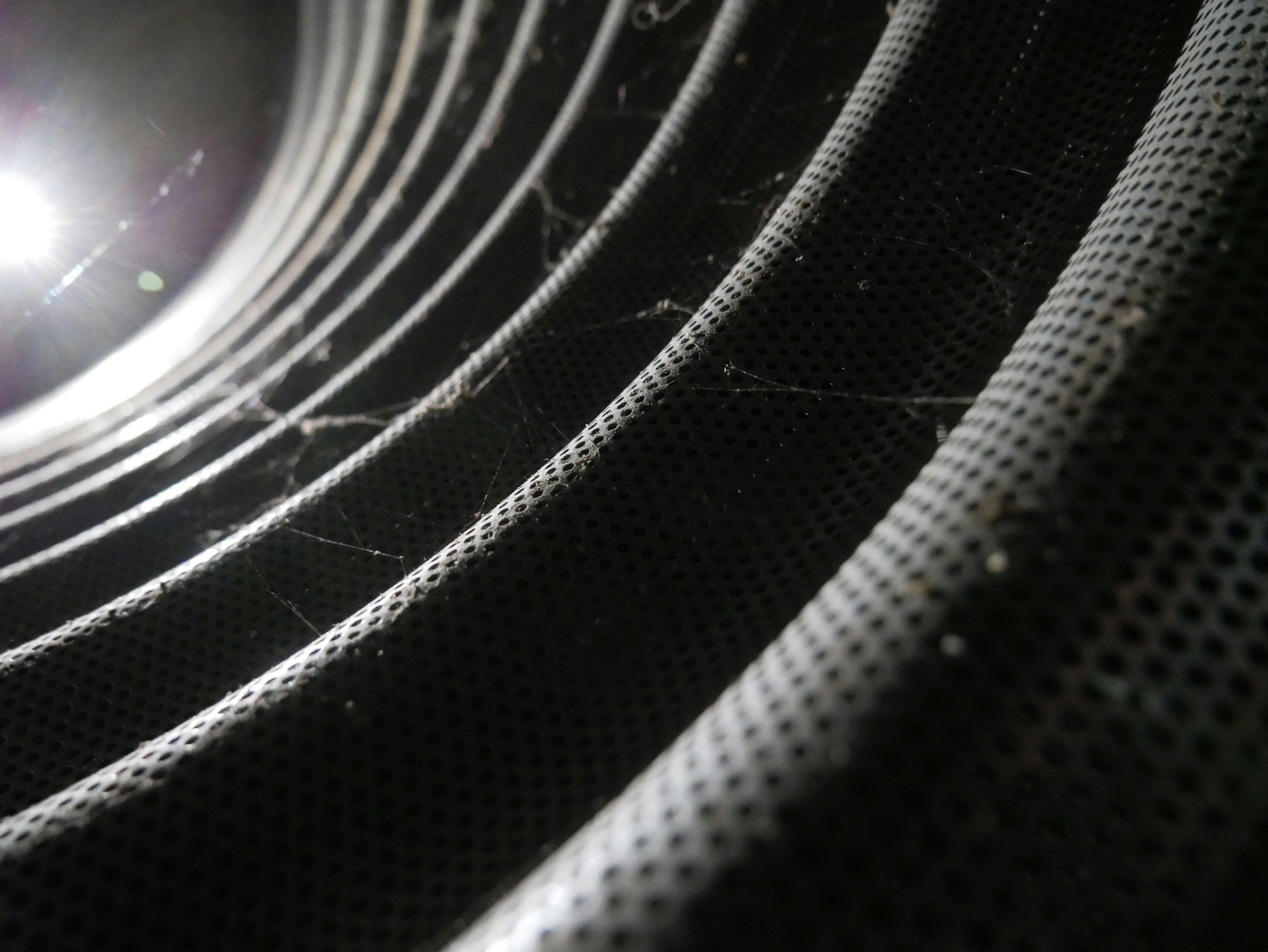 Photo by johanse_photos