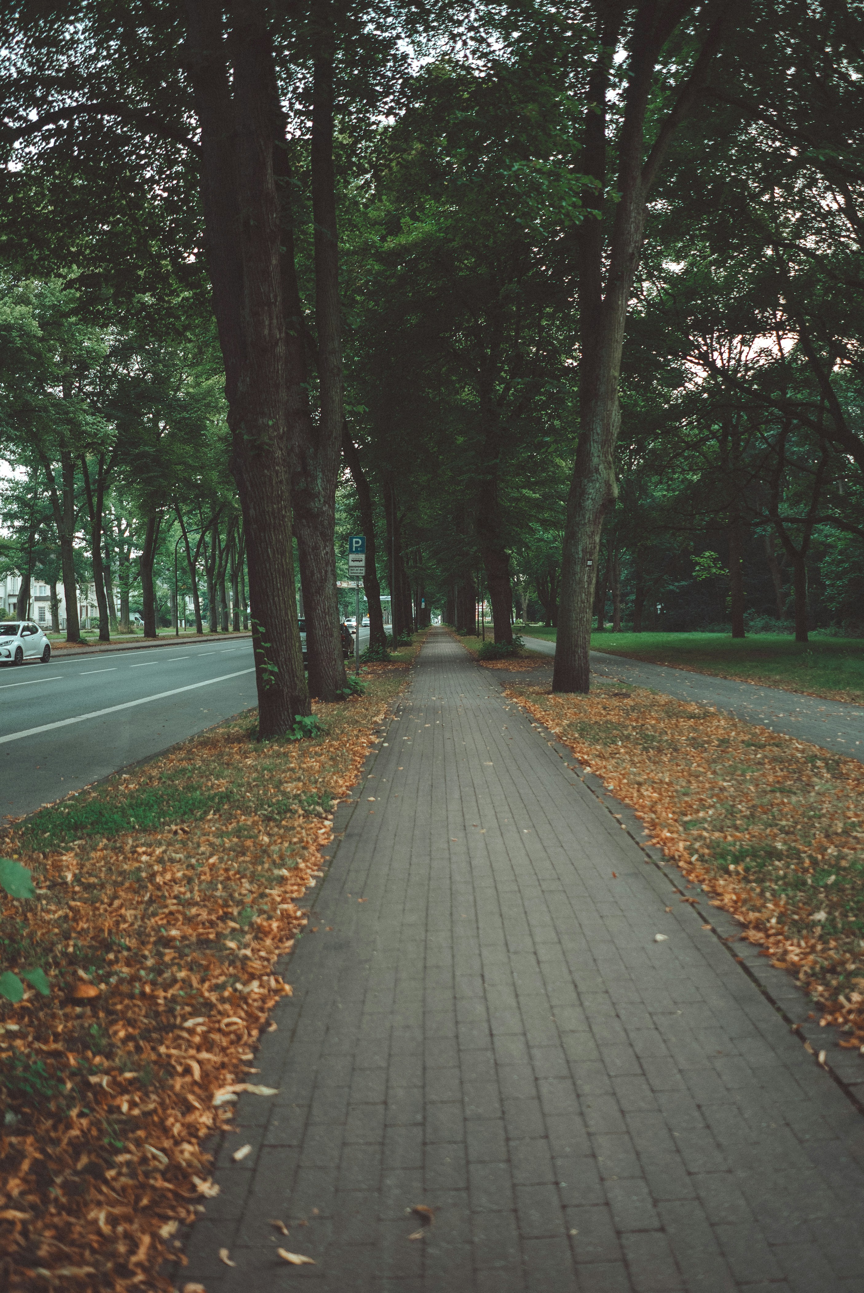 Photo by omarvellous14
