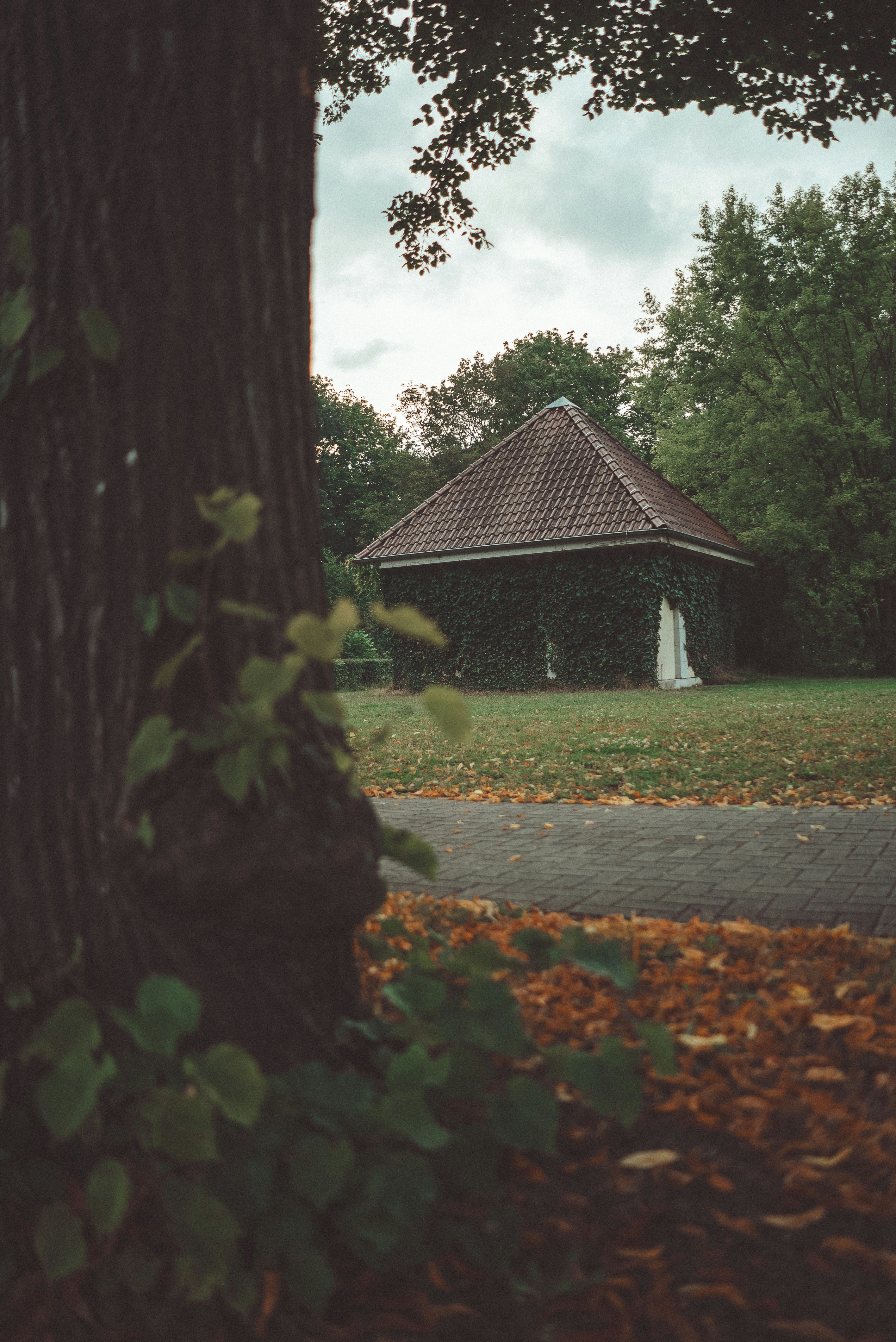 Photo by omarvellous14