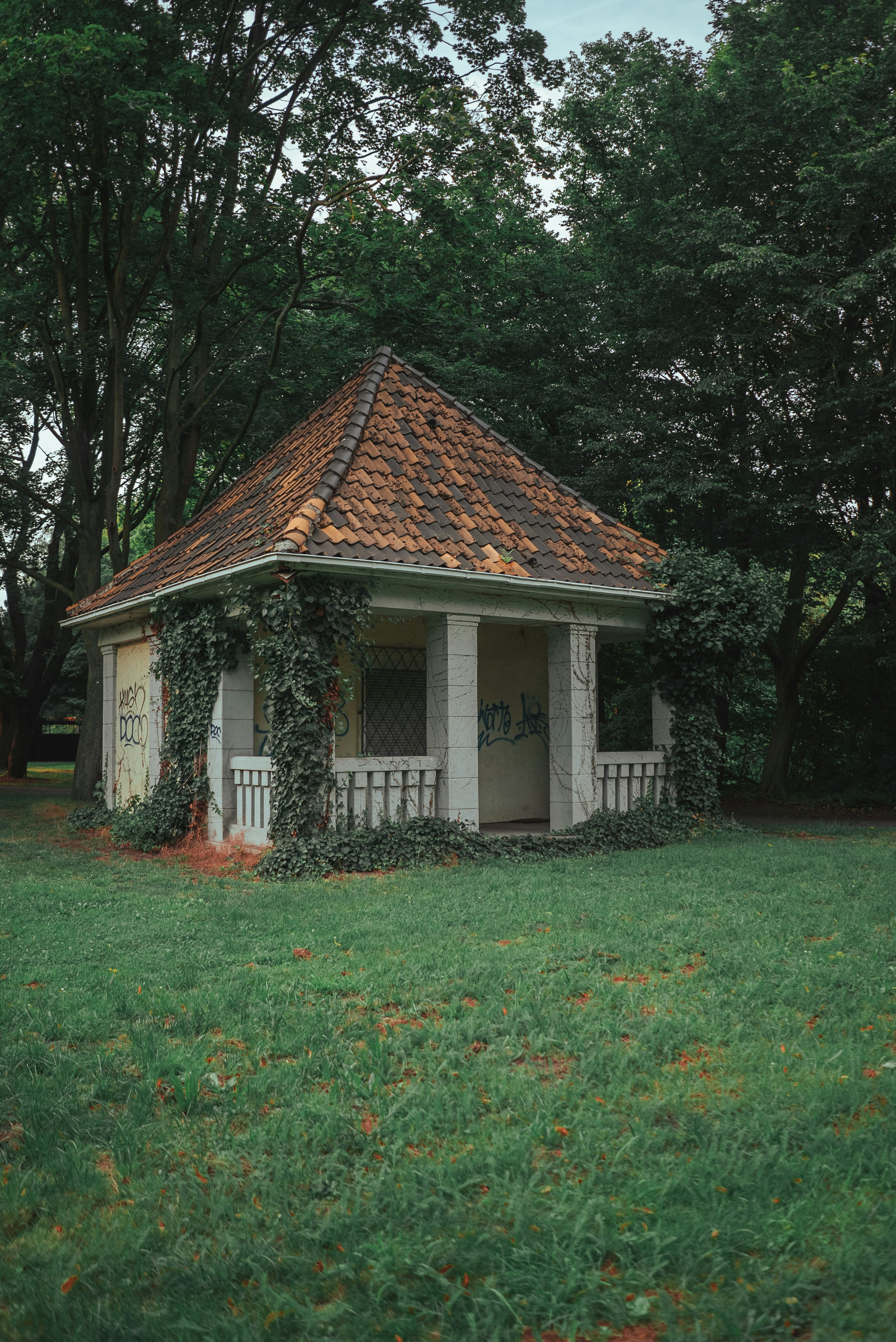 Photo by omarvellous14