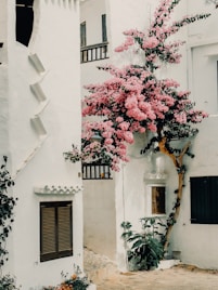 A white building with a pink tree in front of it