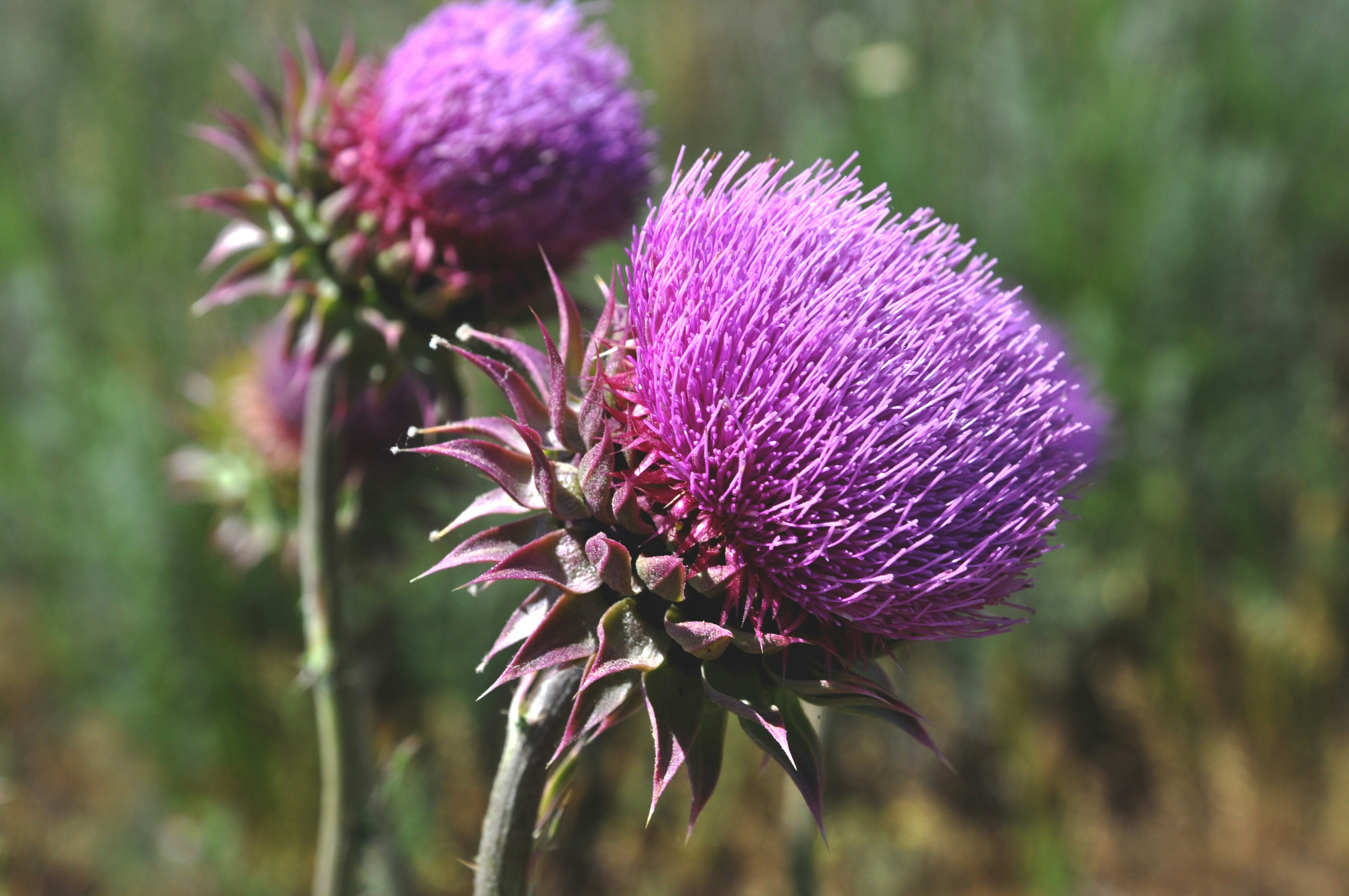 Photo by nika_valerievna