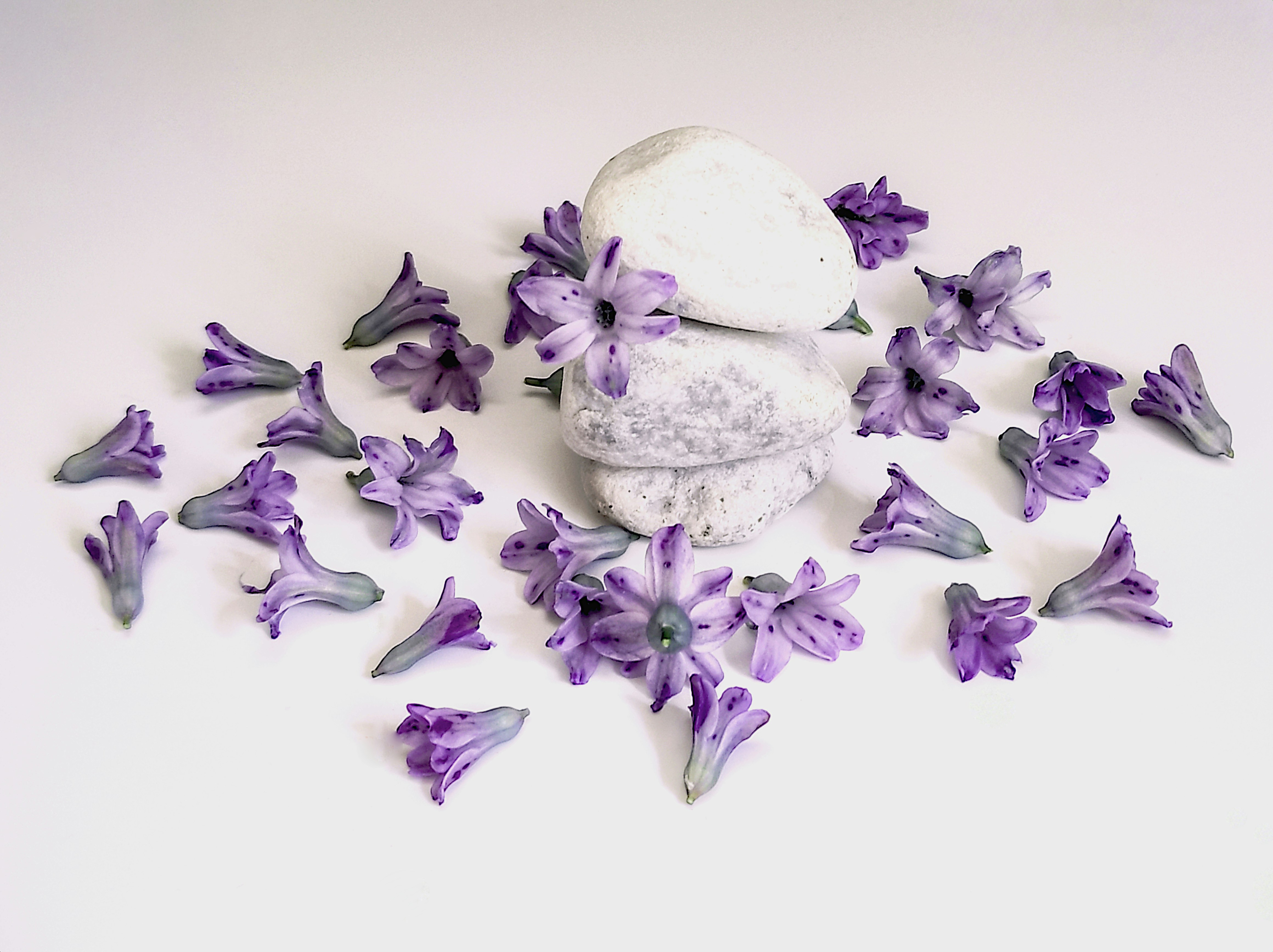 Photo by daniela_e_photography