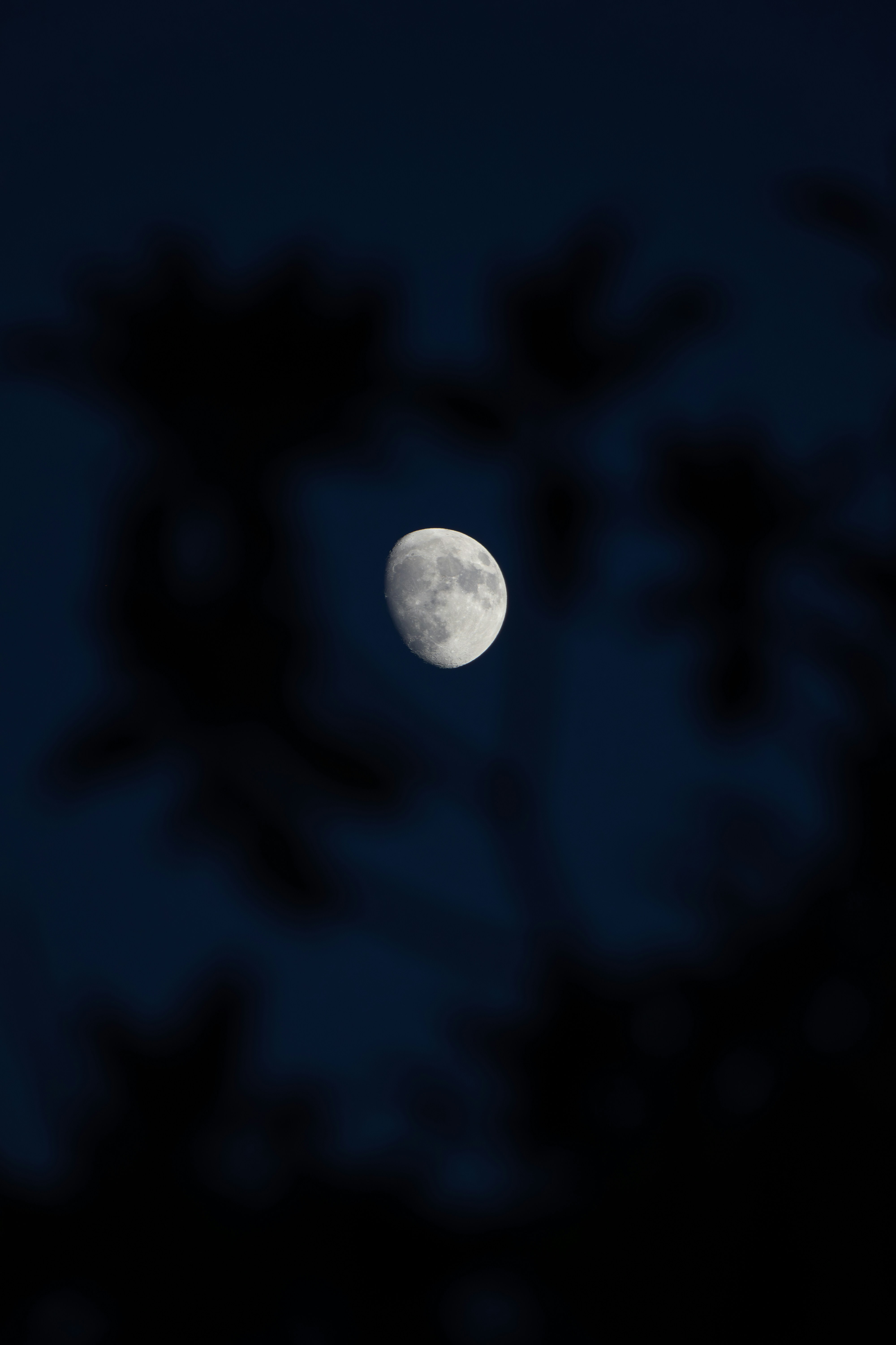 Photo by emrecandora