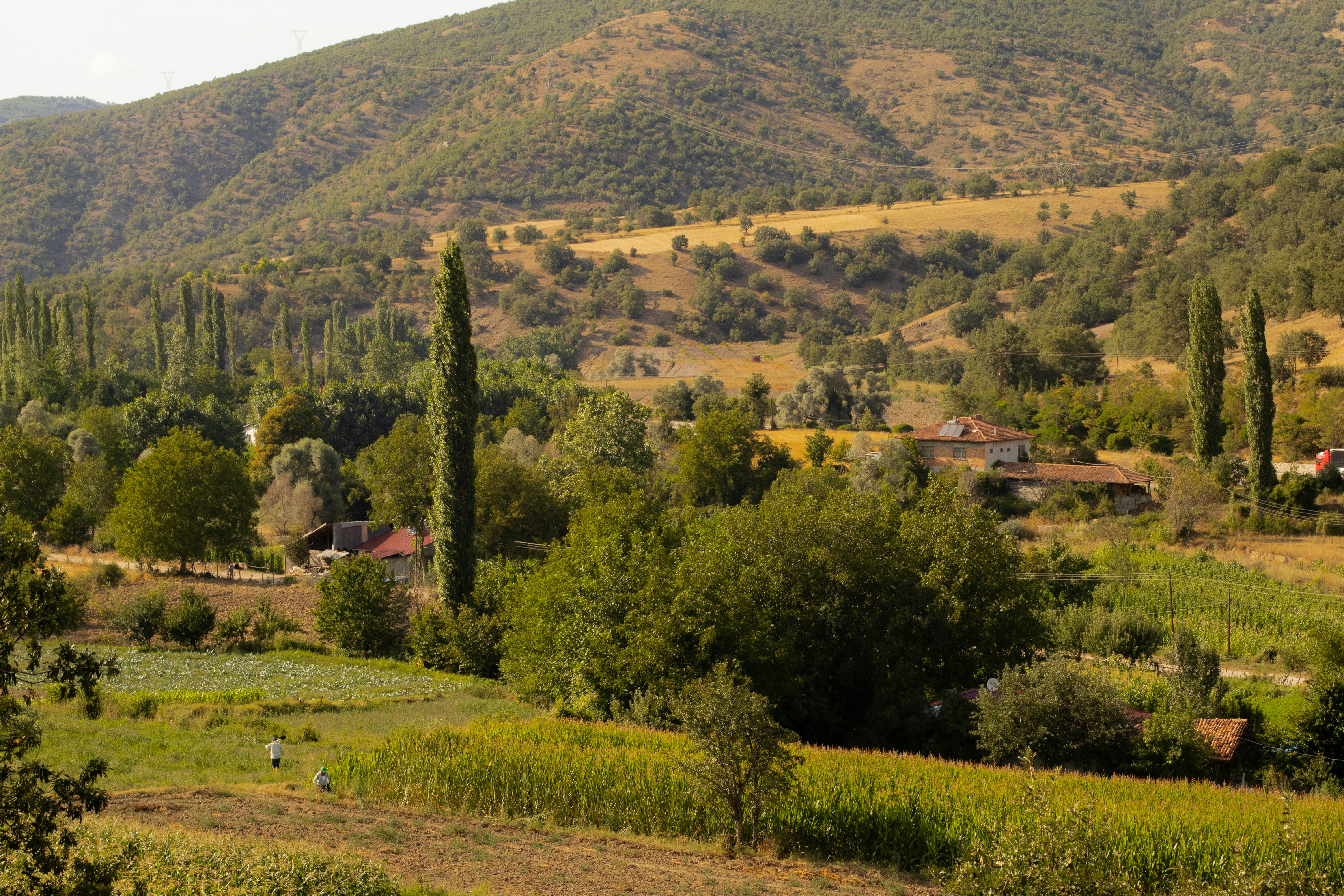 Photo by emrecandora