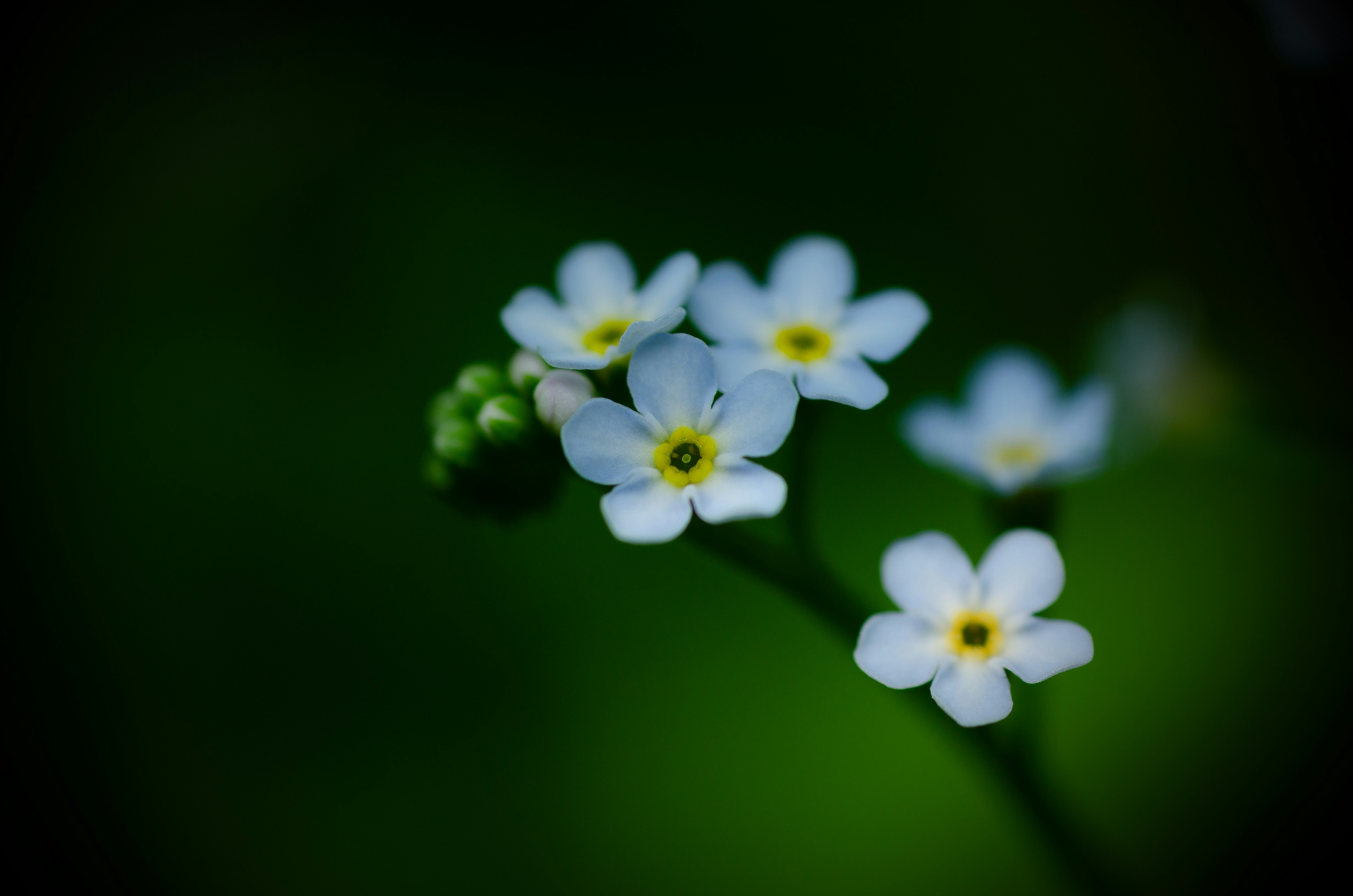 Photo by andrilliardbond