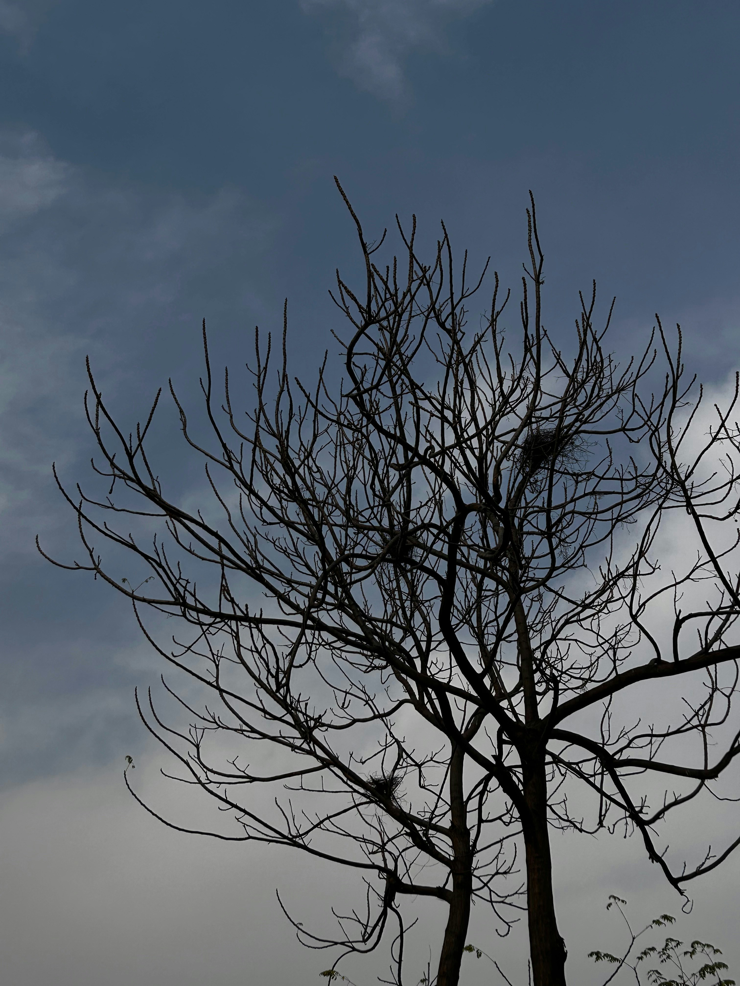 Photo by 420aperture