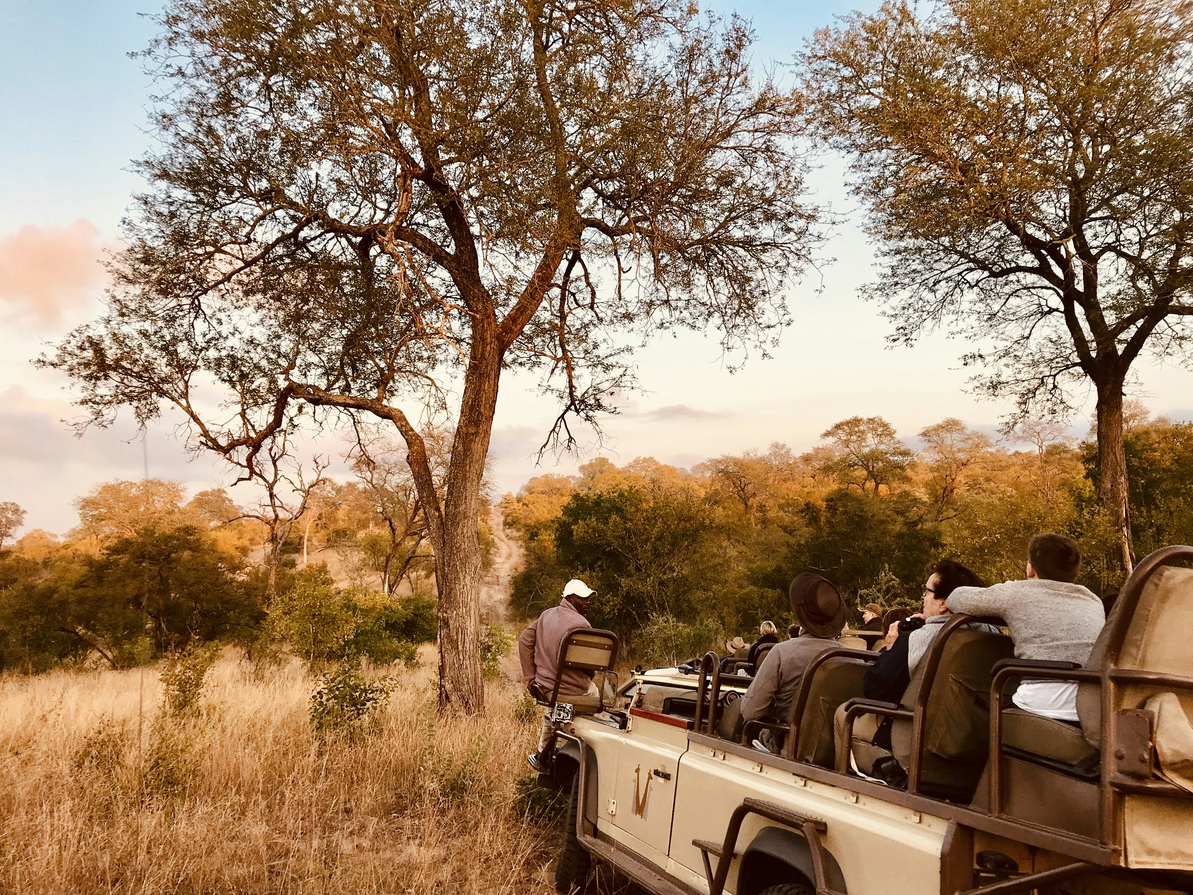 A group of people riding on the back of a truck