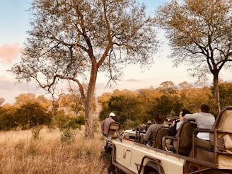 A group of people riding on the back of a truck