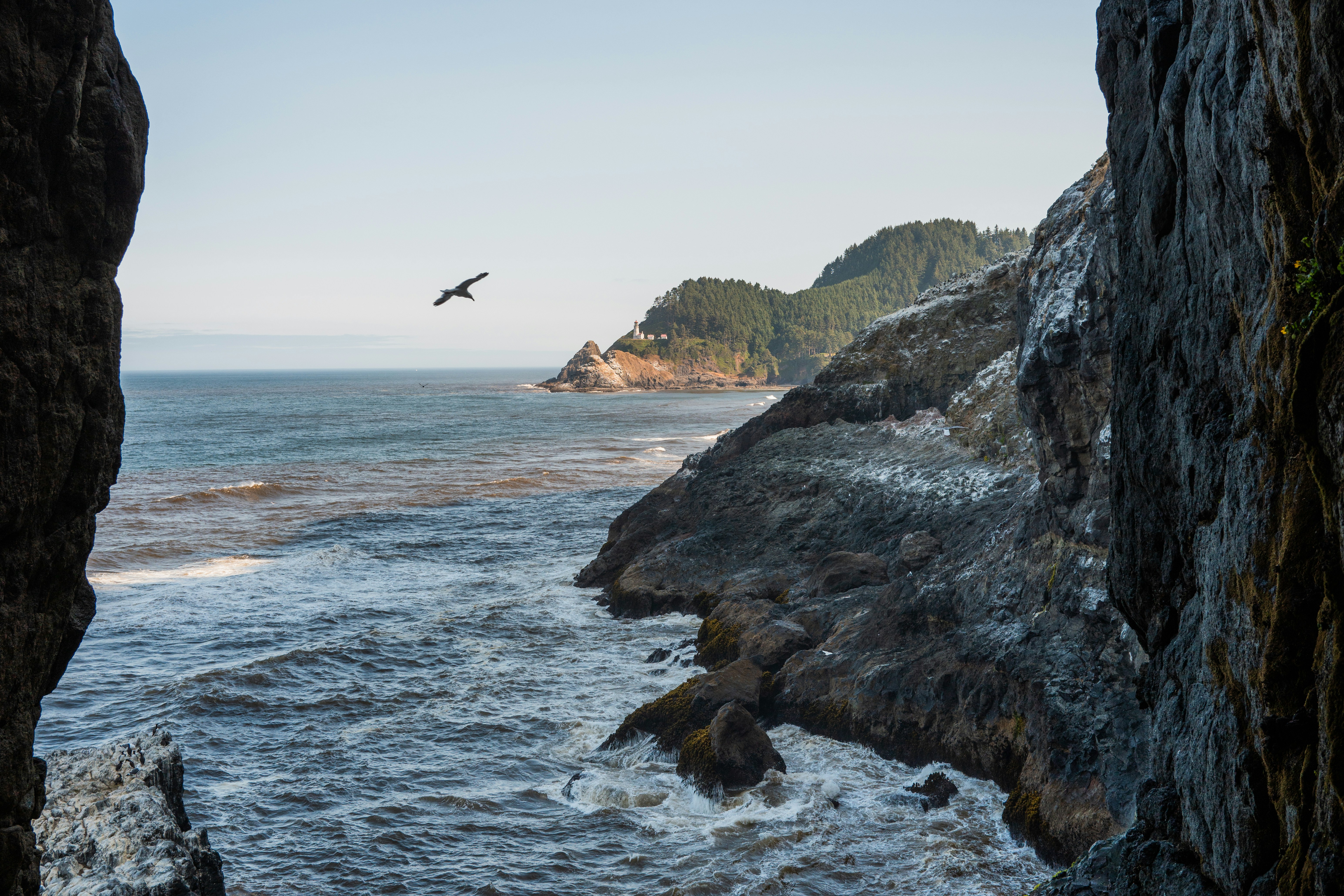A bird flying over the ocean from a cliff