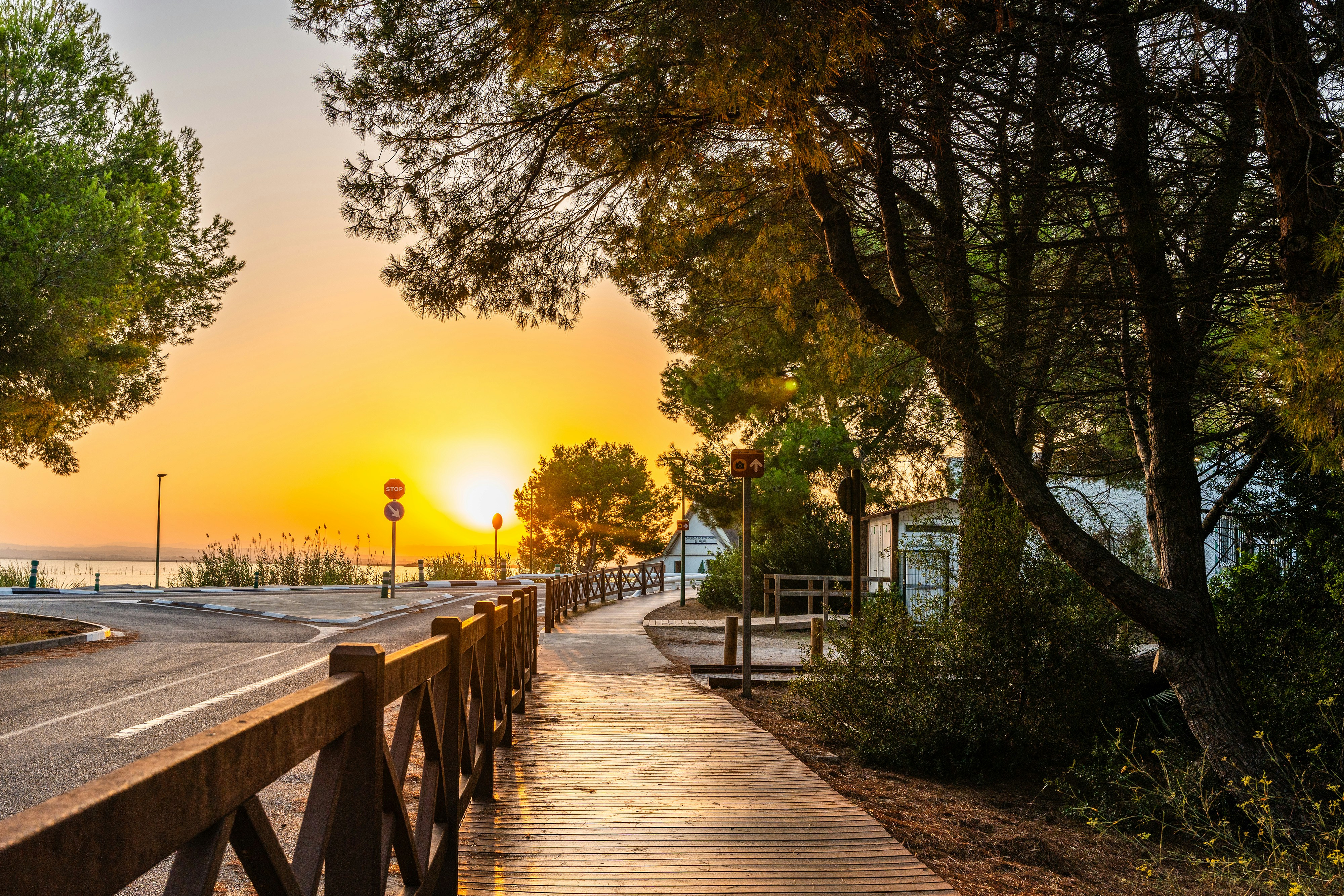 Photo by masoodaslami