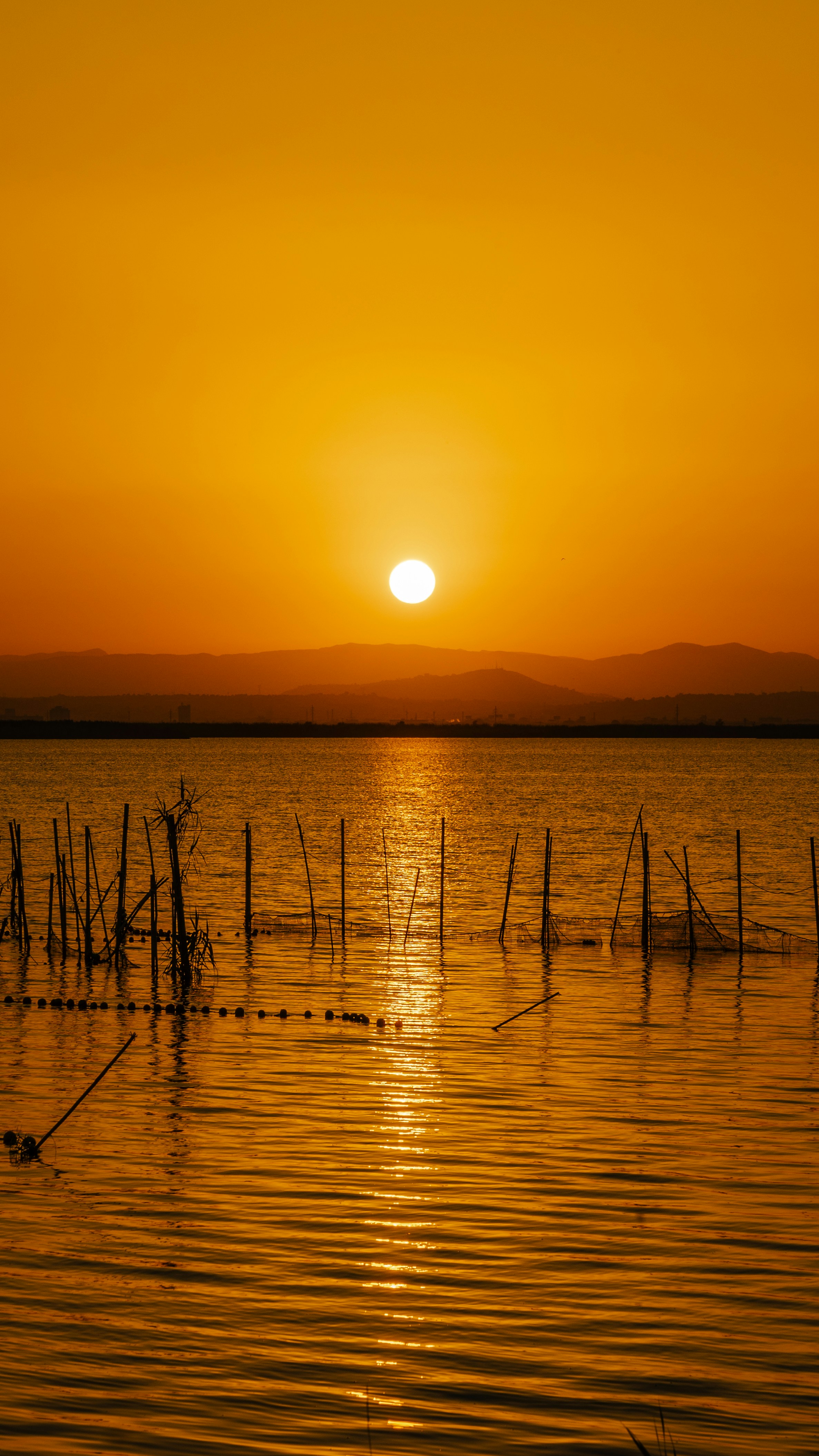 Photo by masoodaslami