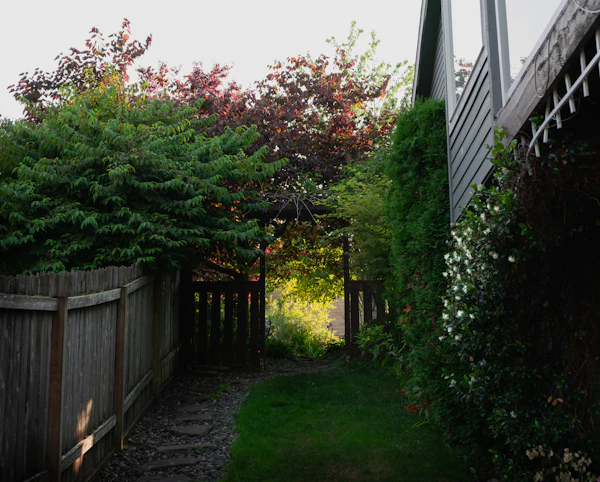 Mature residential garden with layered plantings