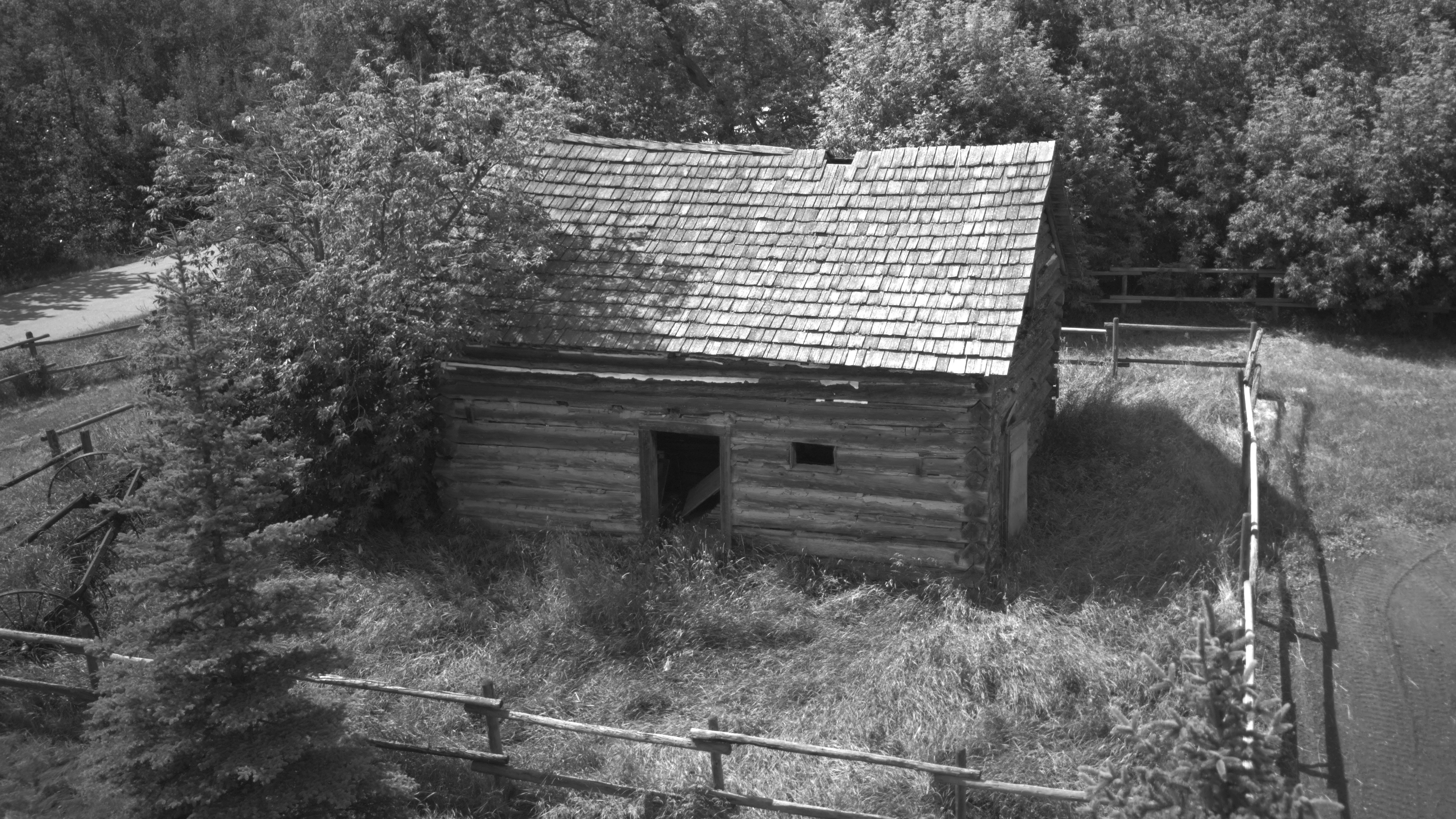 Photo by wallybee43