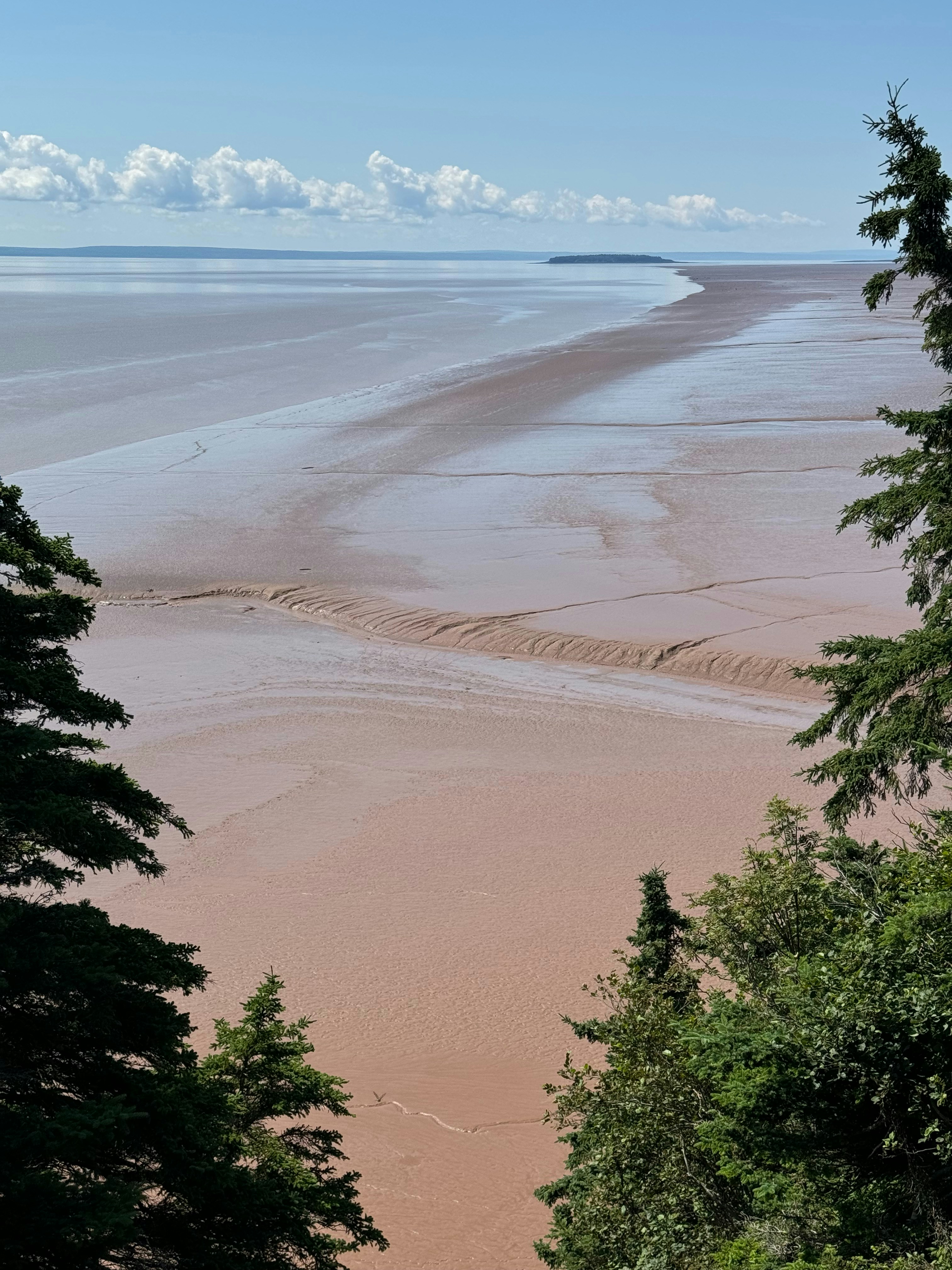 木々の間から見えるビーチの景色