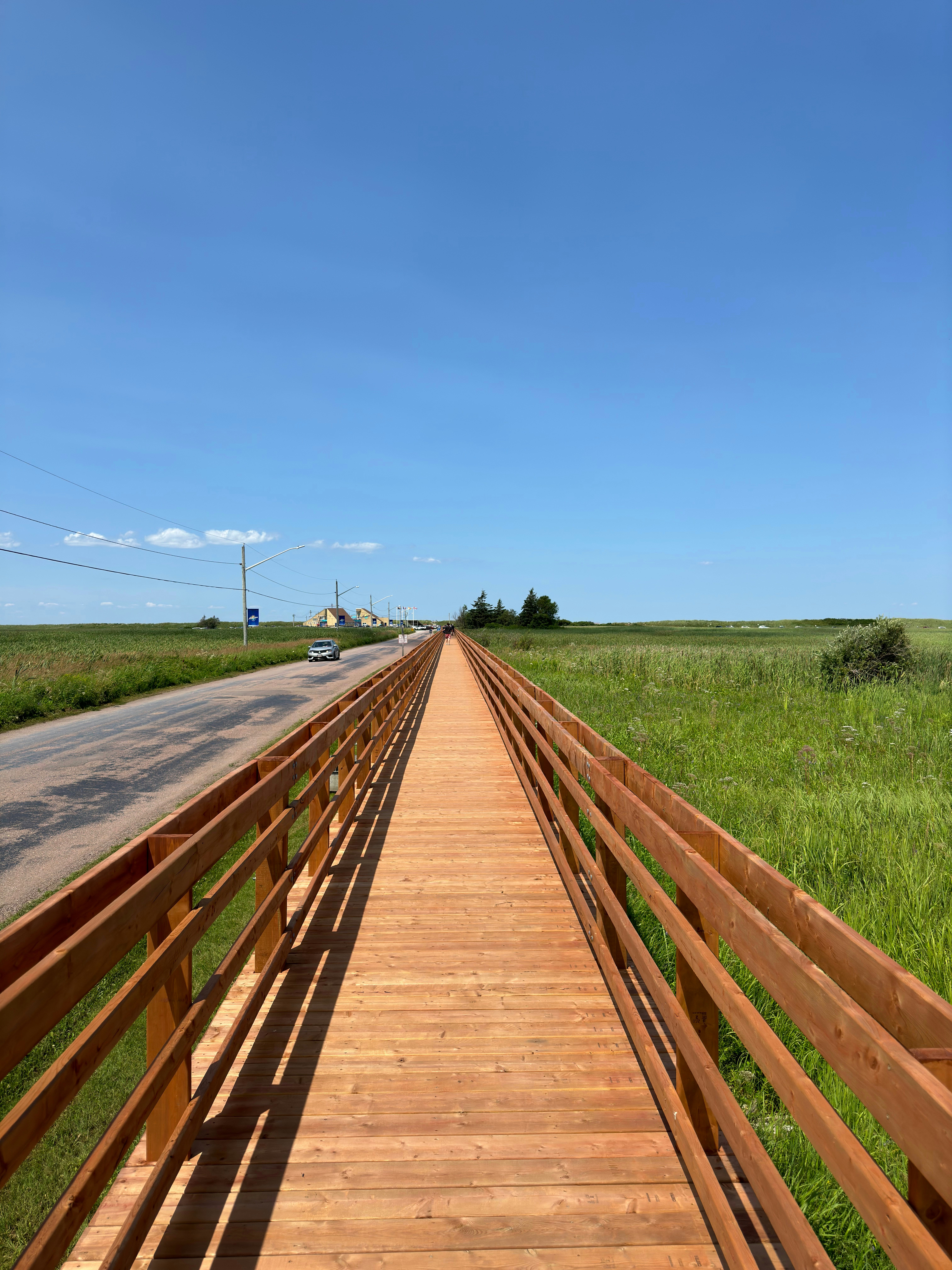 晴れた日の草原に架かる木製の橋