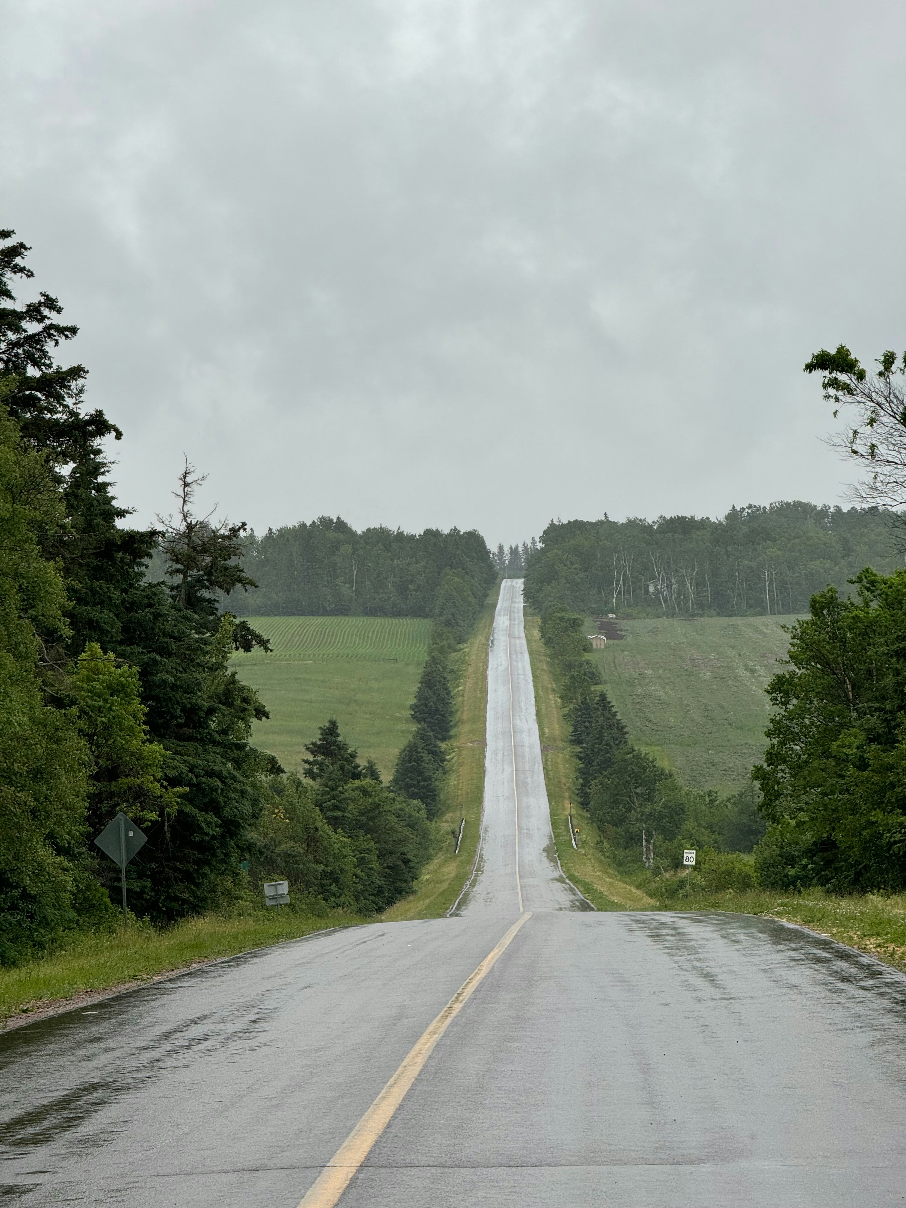 両側に木々が生い茂る長い直線道路