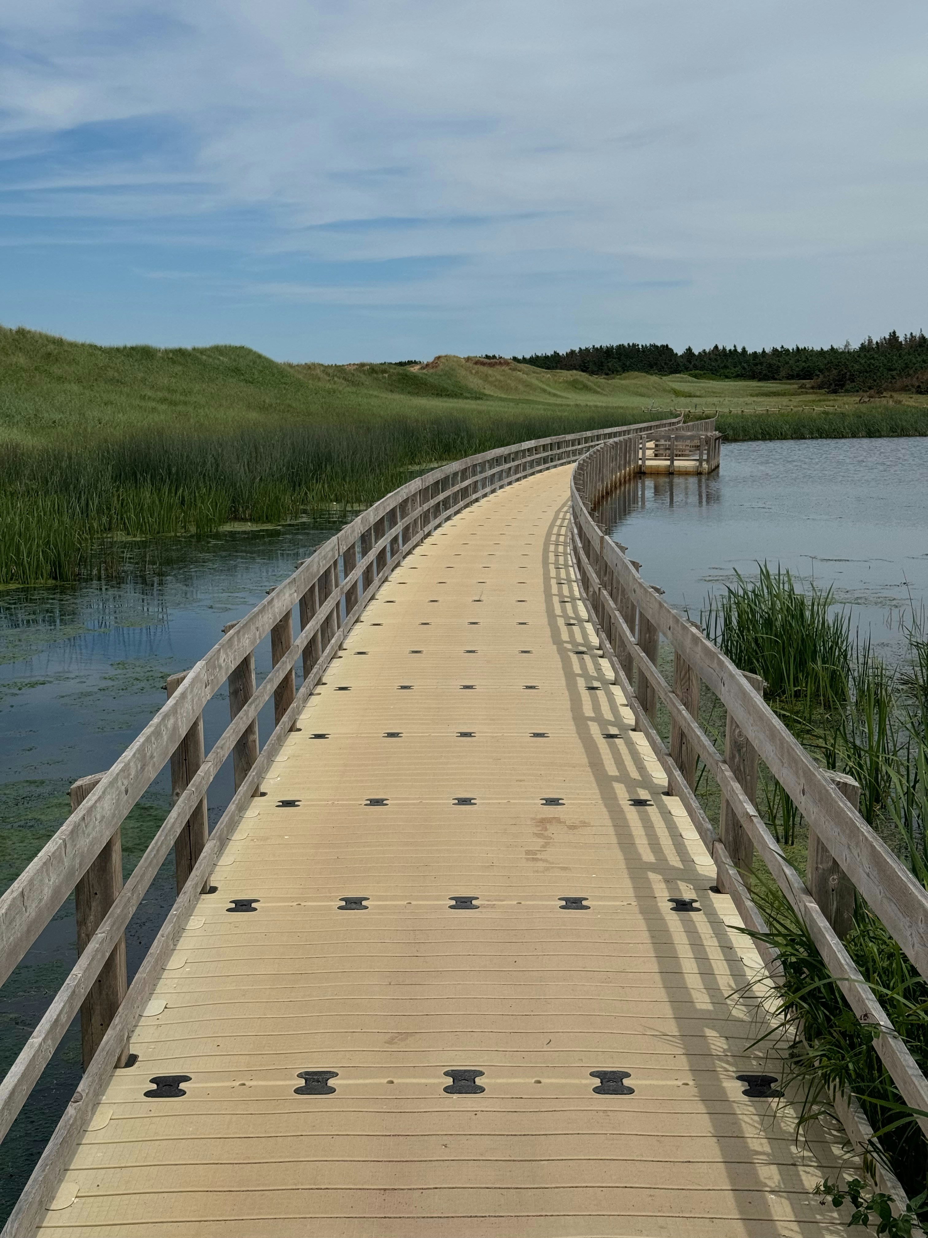 水域に架かる木製の橋