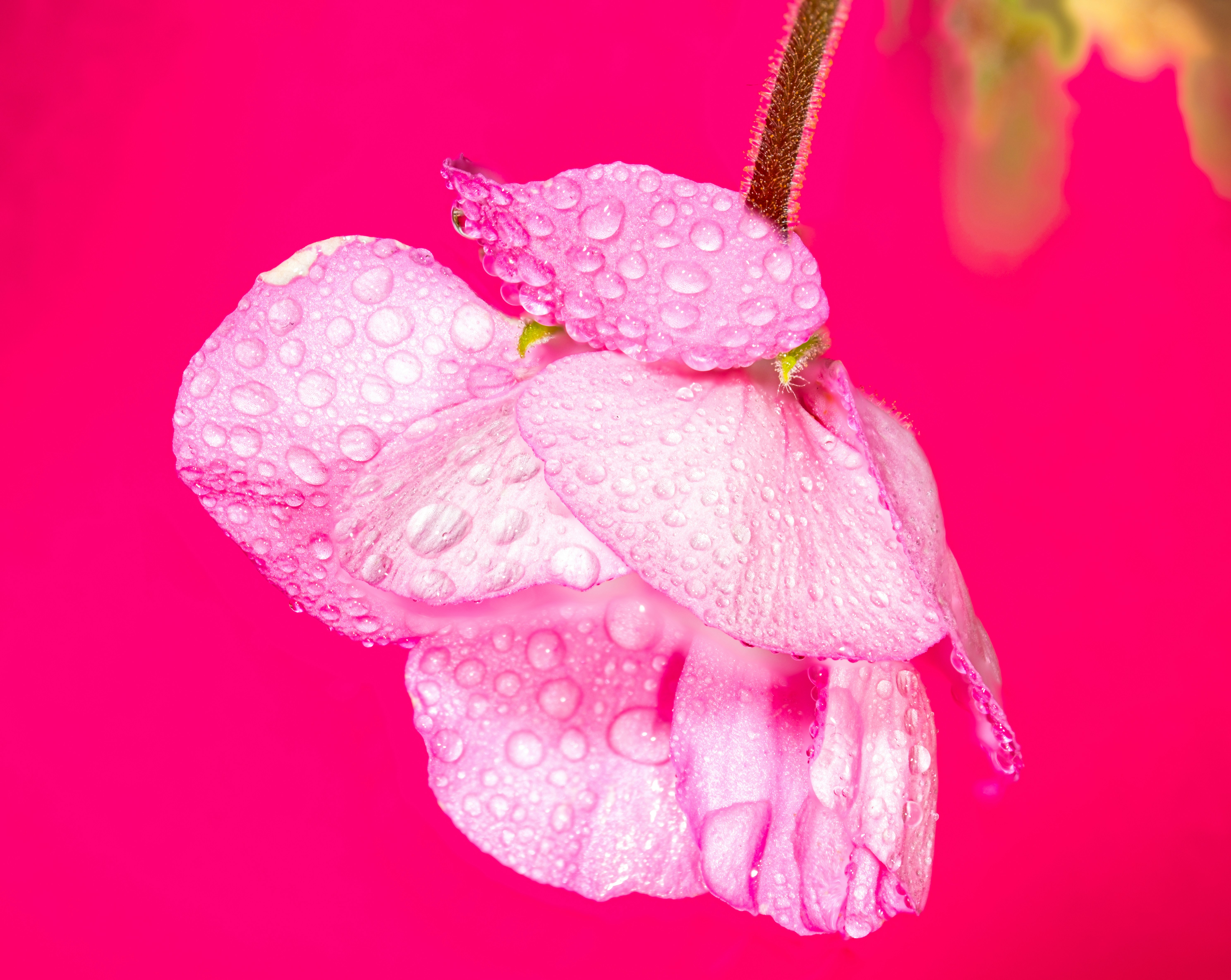 Photo by alexandredaoust