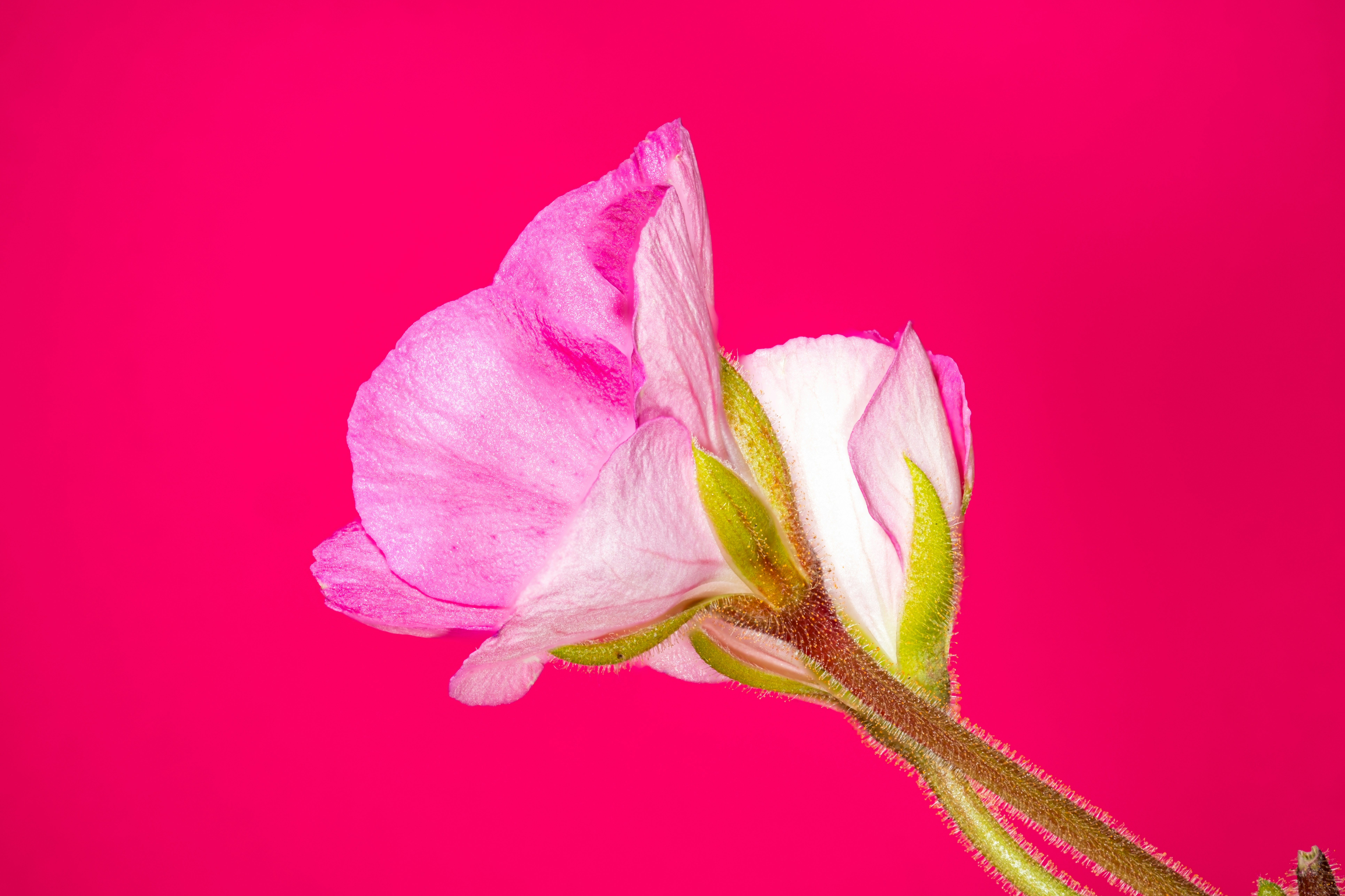 Photo by alexandredaoust