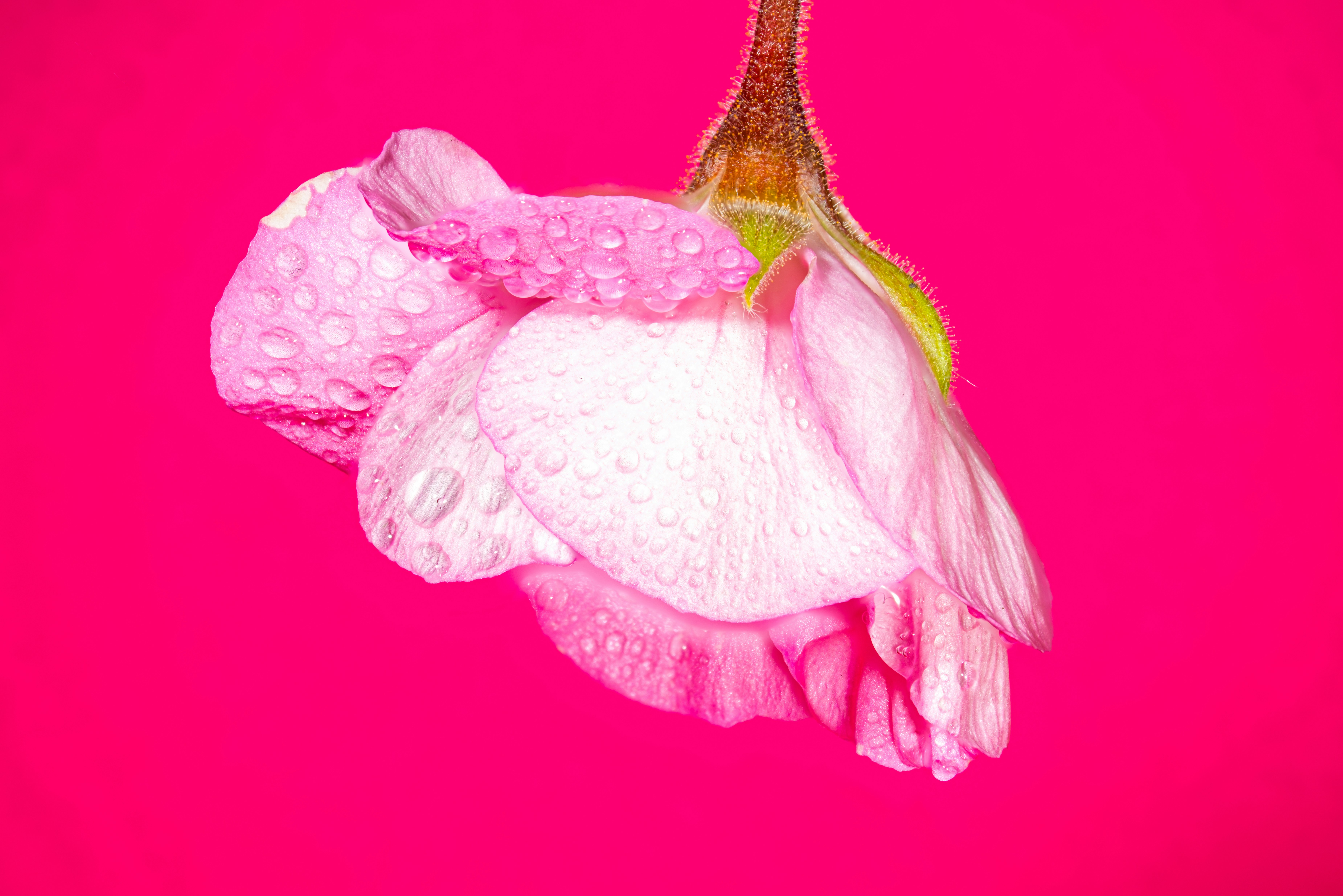 Photo by alexandredaoust