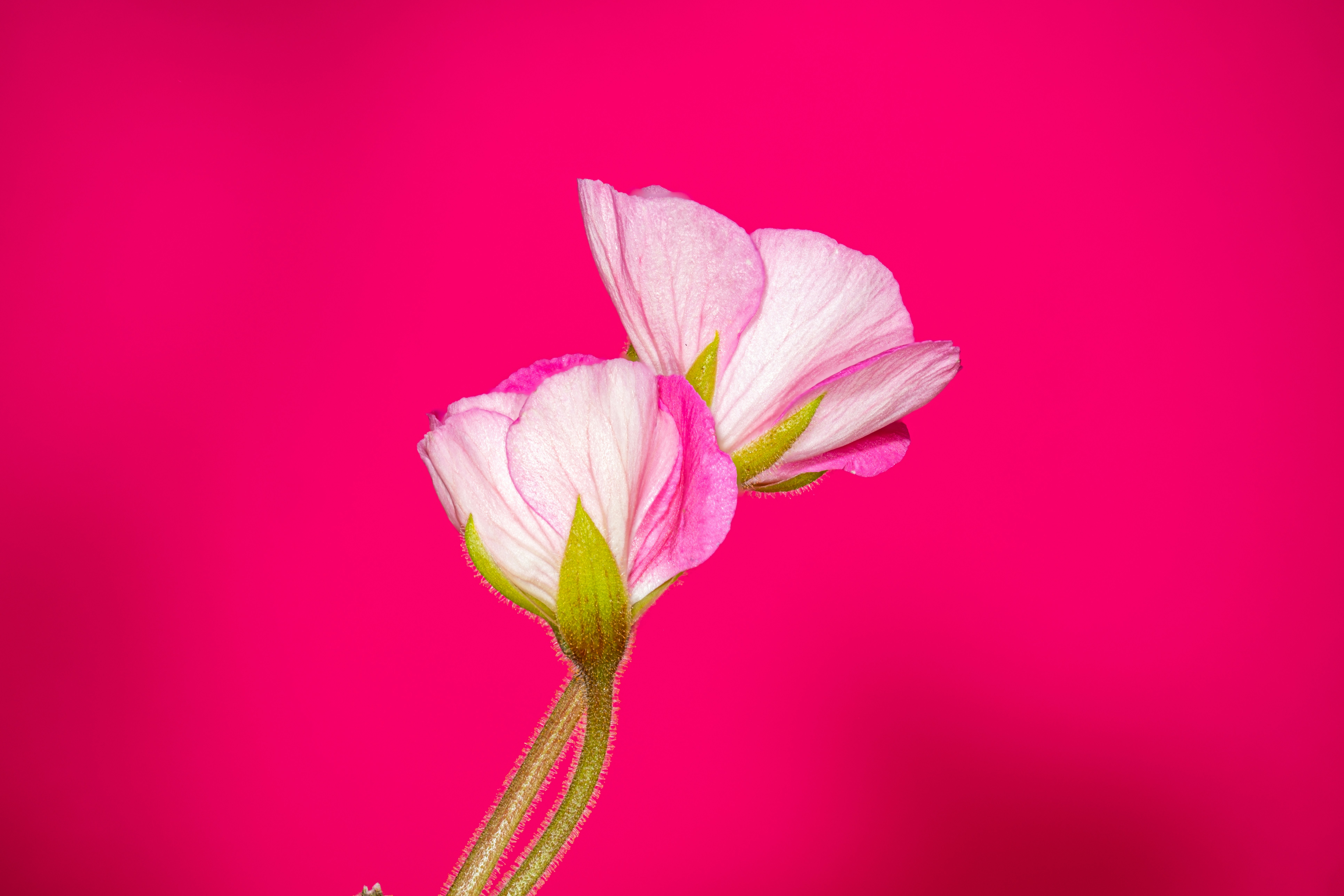 Photo by alexandredaoust