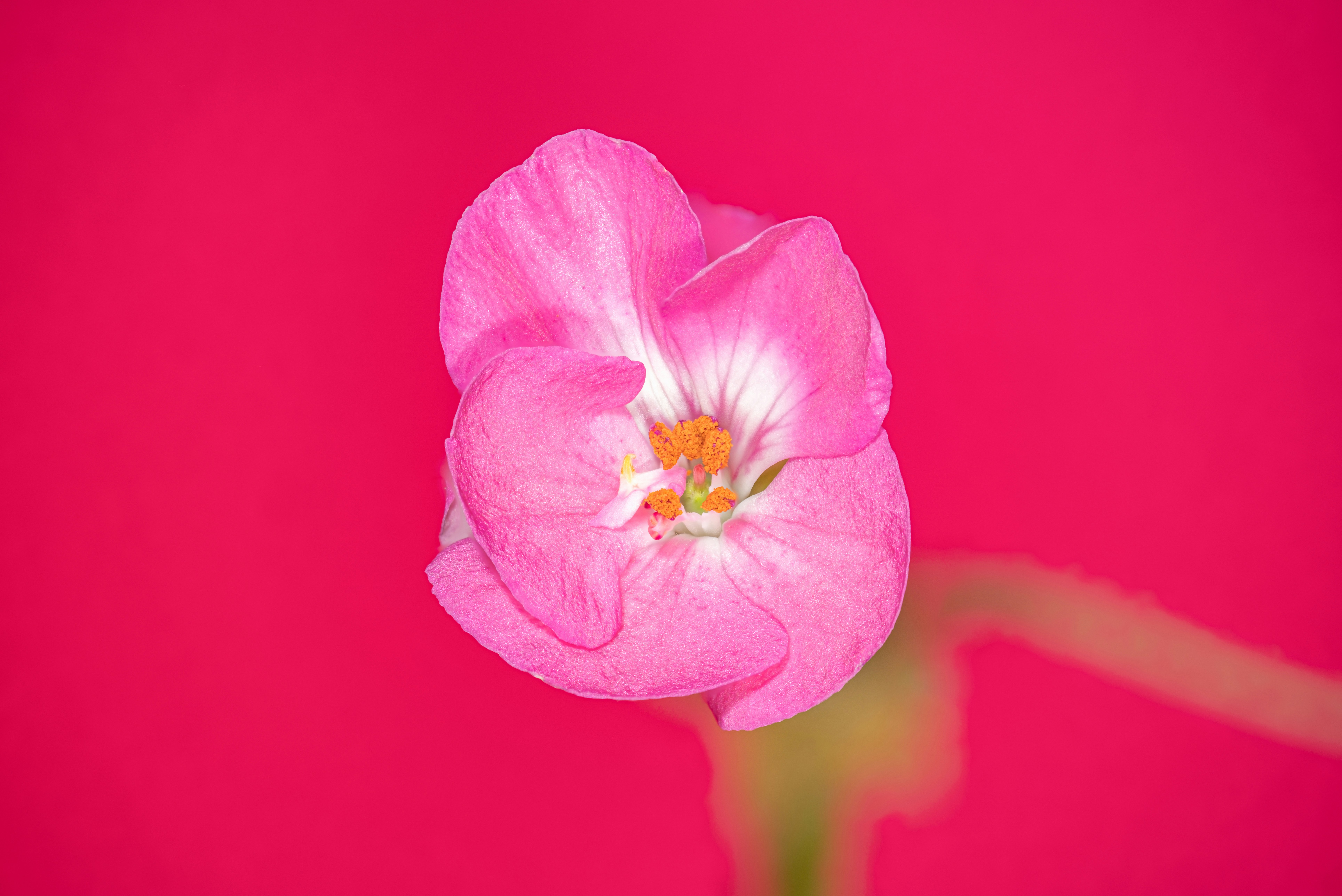 Photo by alexandredaoust