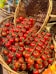 A display of tomatoes in baskets in a grocery store