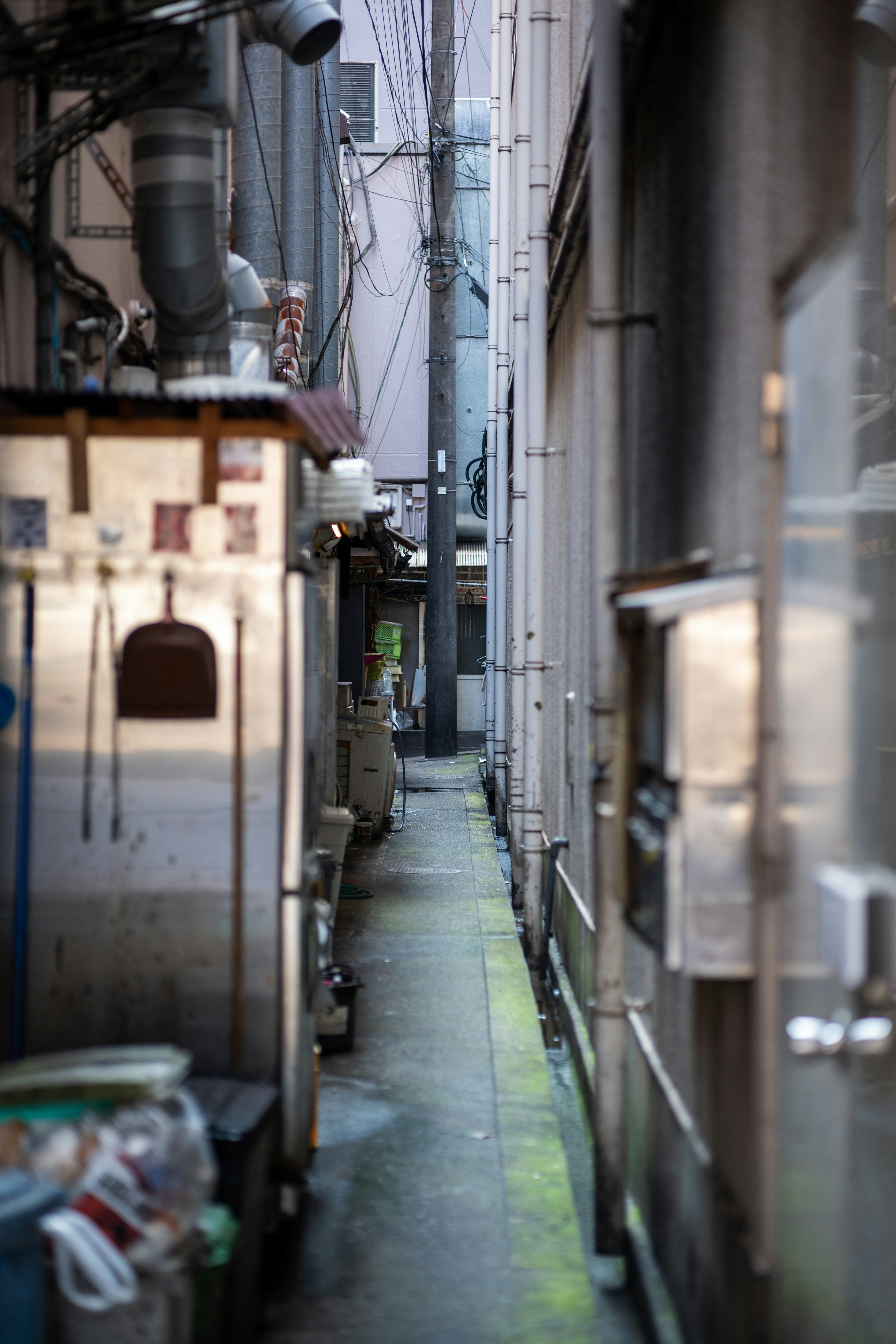 Photo by pafuxu