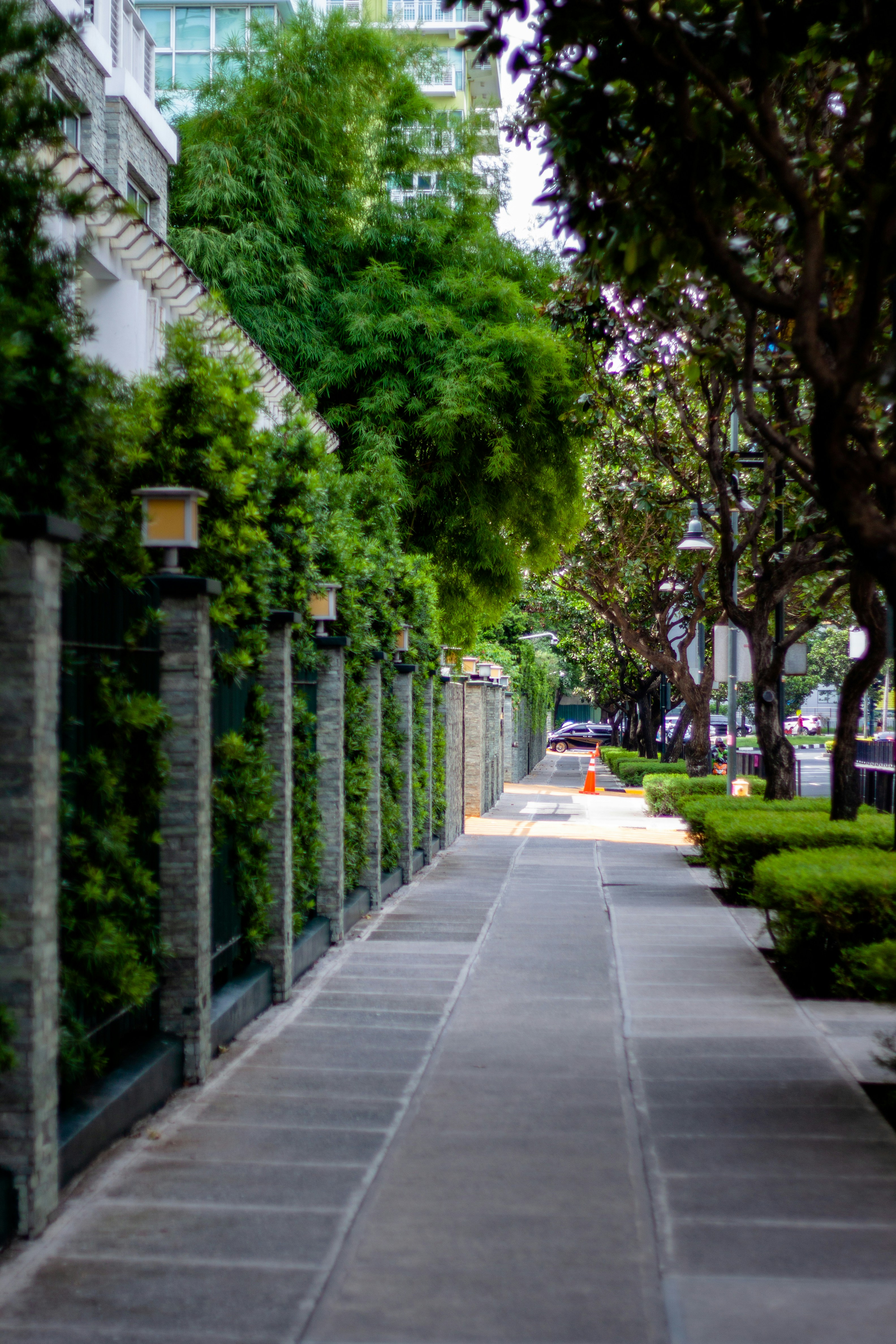 A sidewalk lined with trees and bushes next to tall buildings