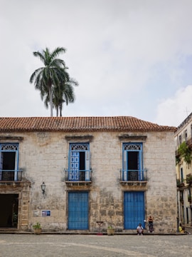 A building with blue doors and a palm tree