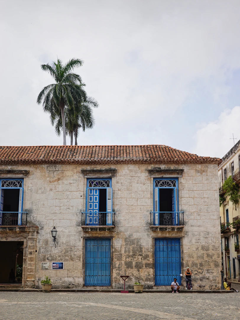 A building with blue doors and a palm tree