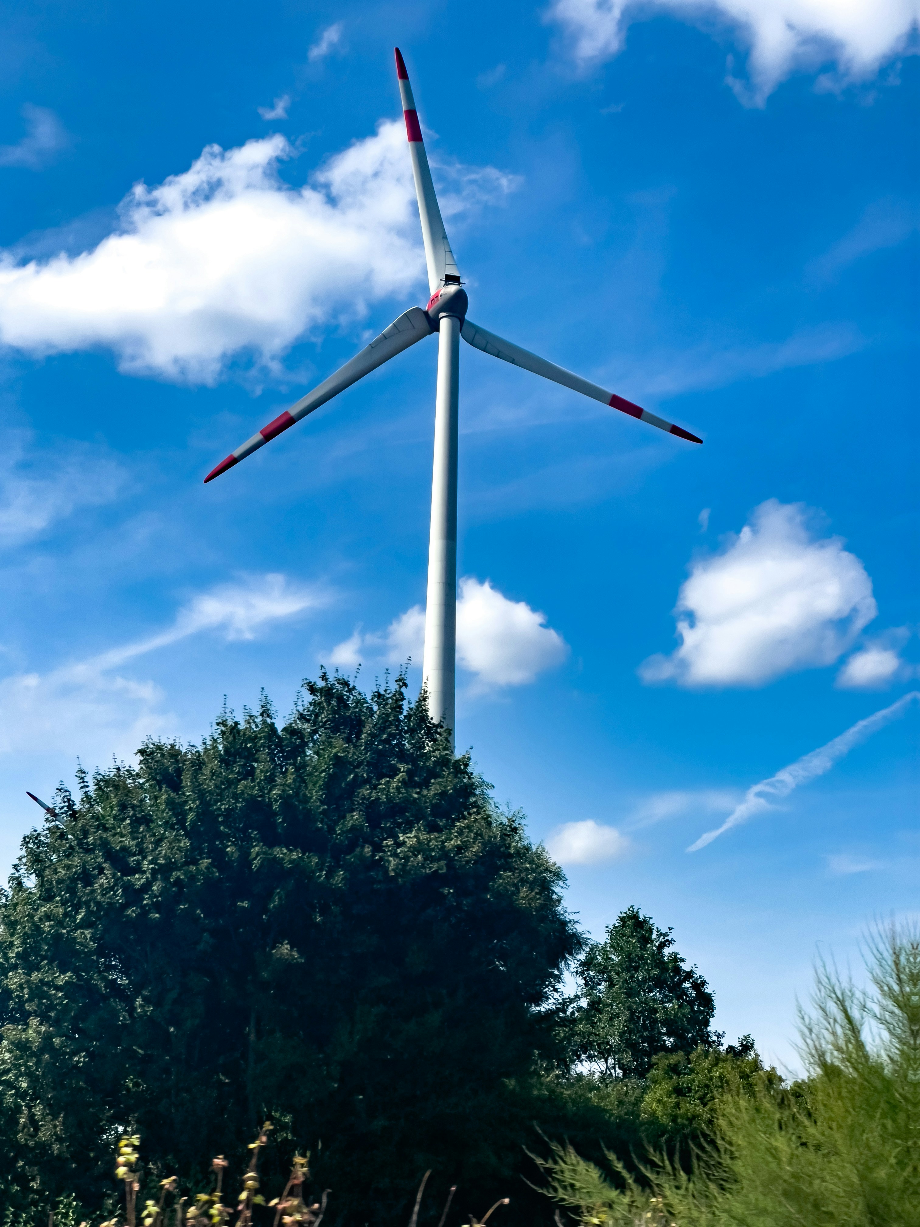 Same-Day Electricians Wodonga