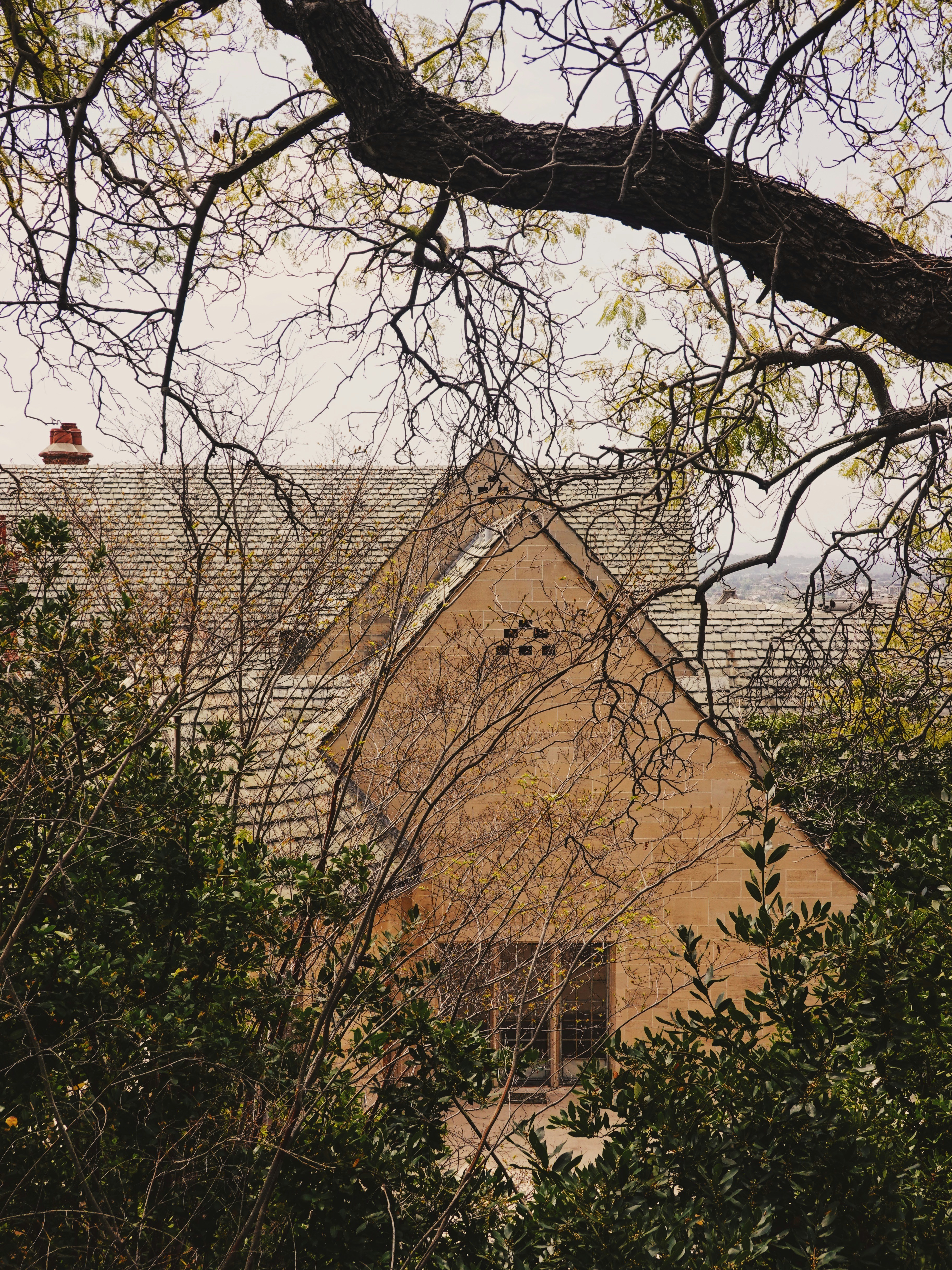 A house with a tree in front of it