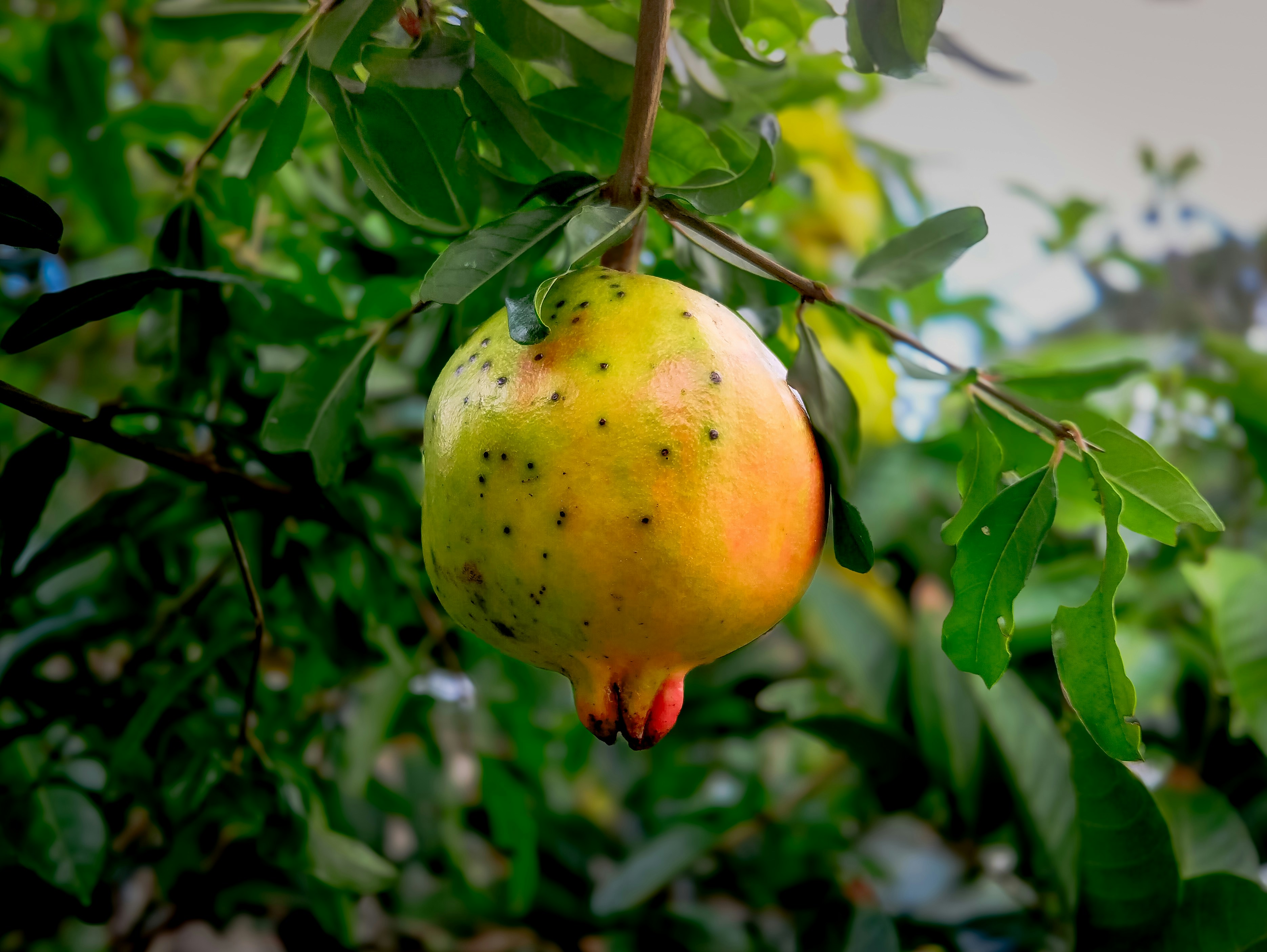 Rofiqul Hadi (@rofiiqul_hadi) | Unsplash Photo Community
