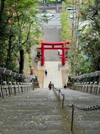 A large red tori tori tori tori tori tori tori tori tori tori tori tori tori