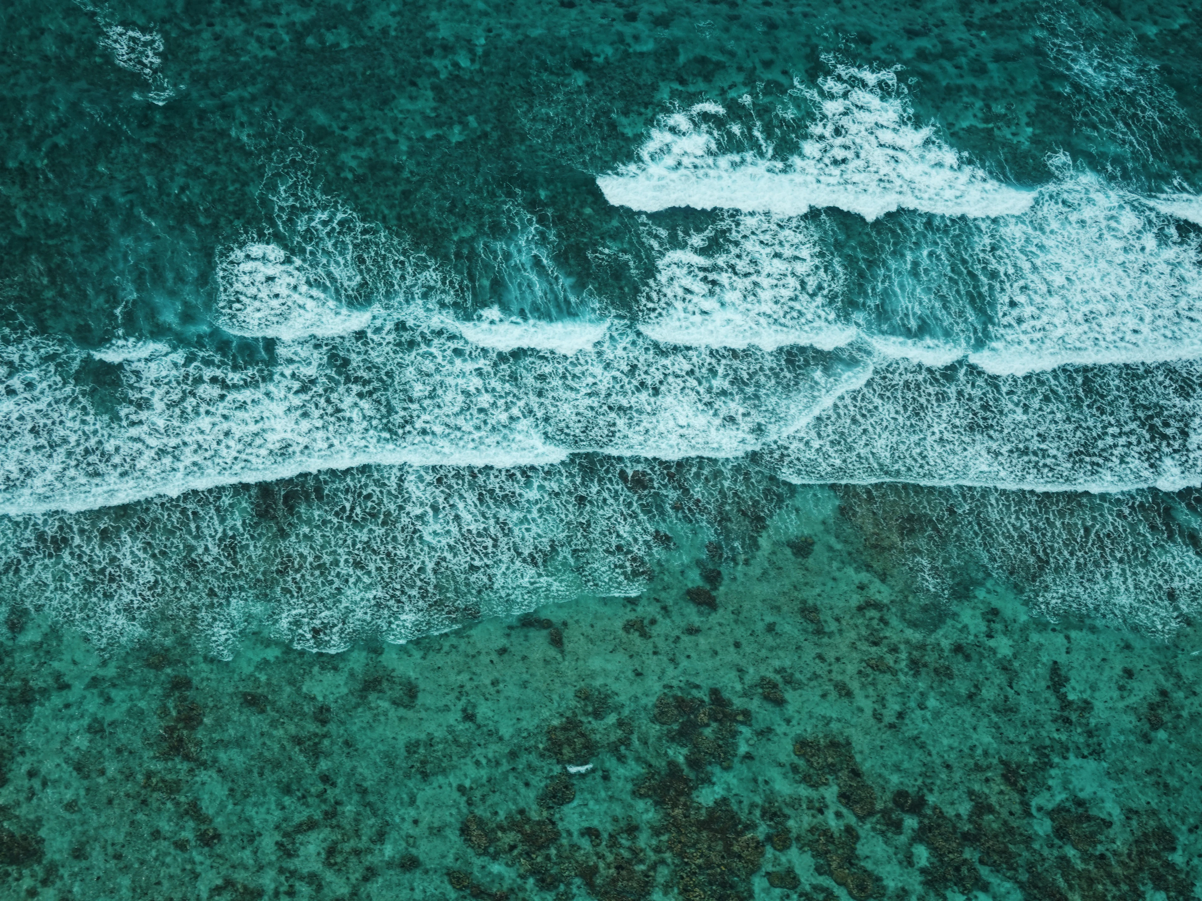Surf breaking along the edge of the reef, with shallow turquoise water behind, seen from a small plane over Belize's reefs